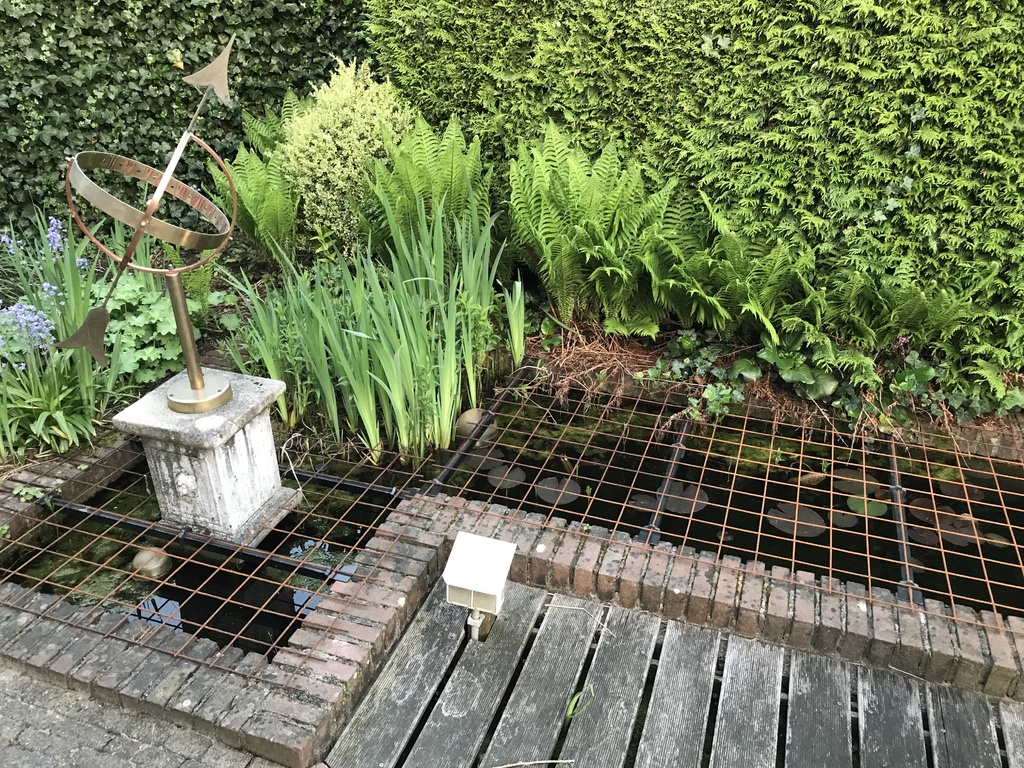 Clip for attaching steel wiremesh