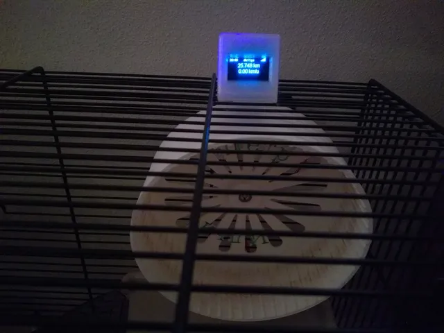 Internet-connected hamster wheel