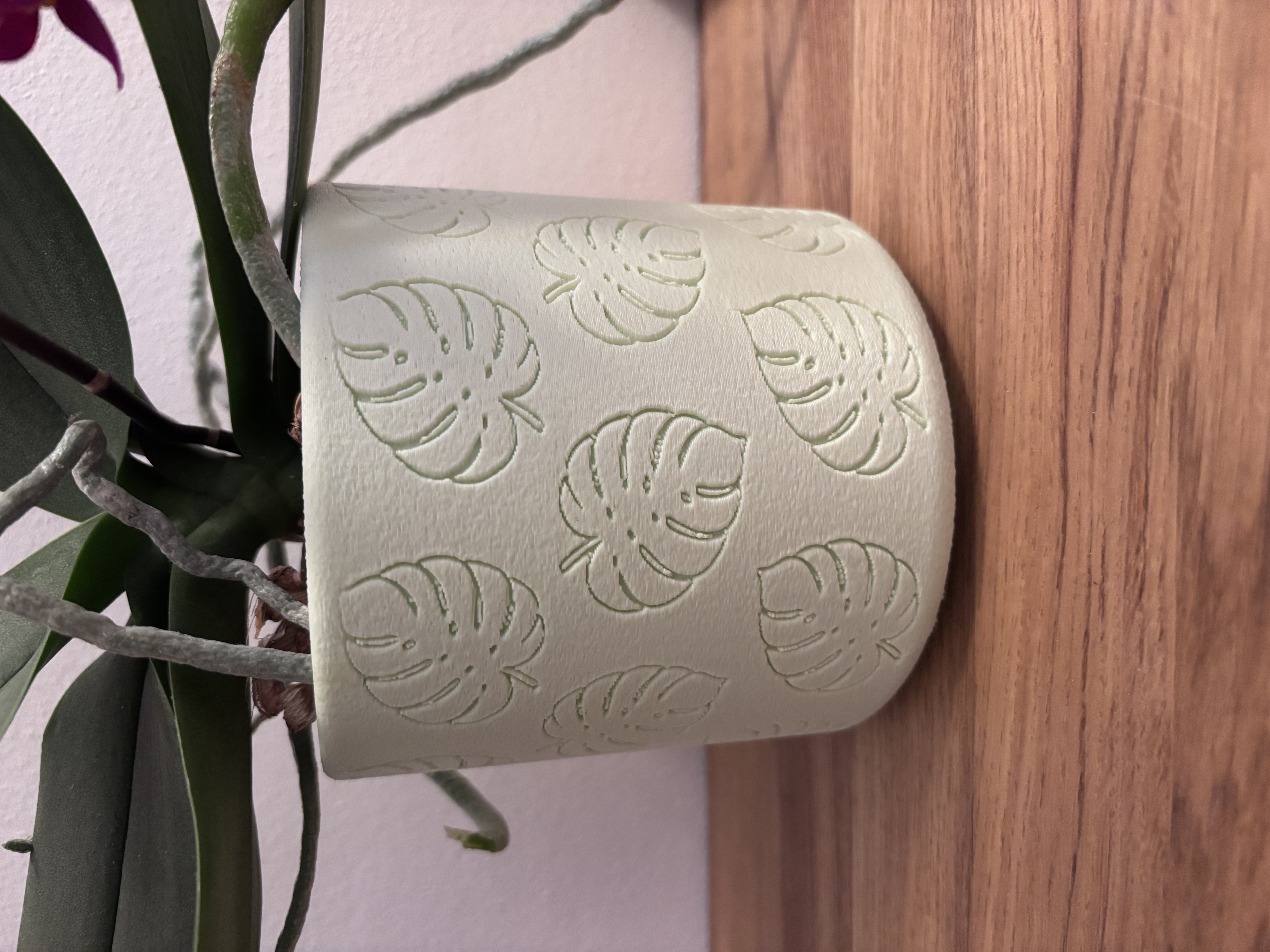 Planter MONSTERA pot