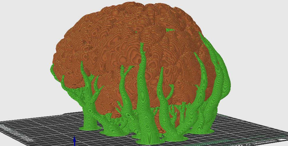Tree holding brain