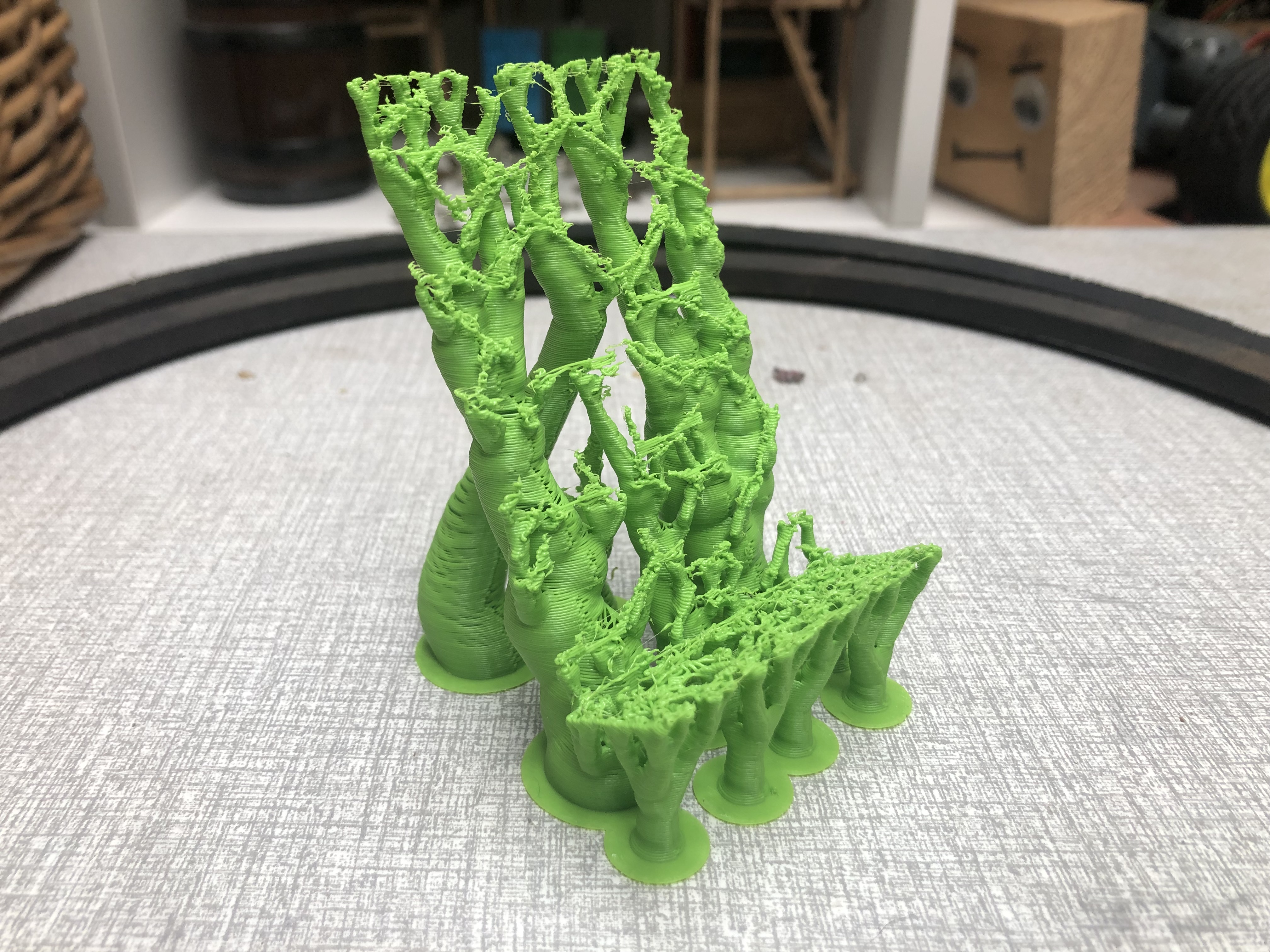 Organic Mobile Phone Stand