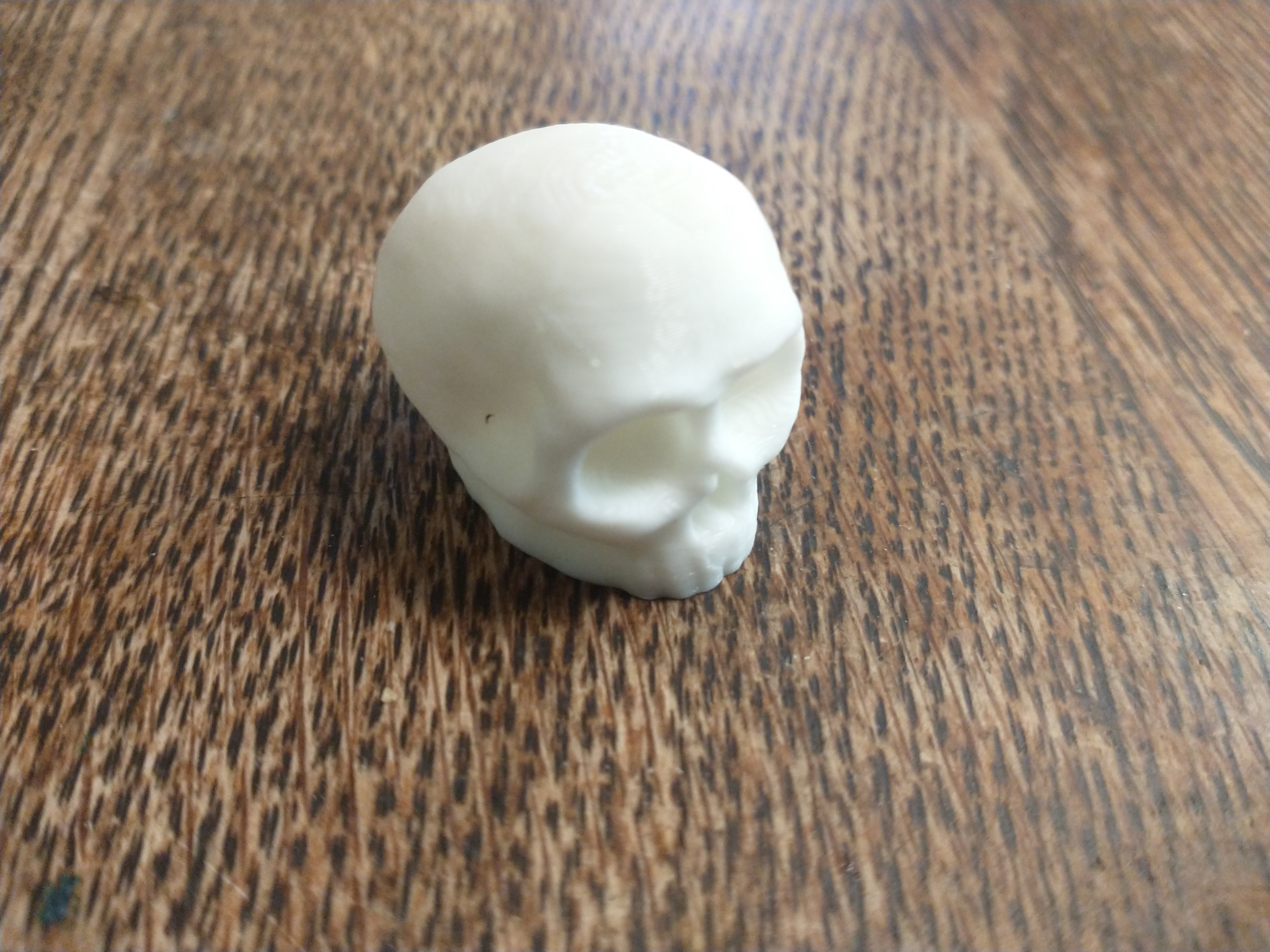 Skull