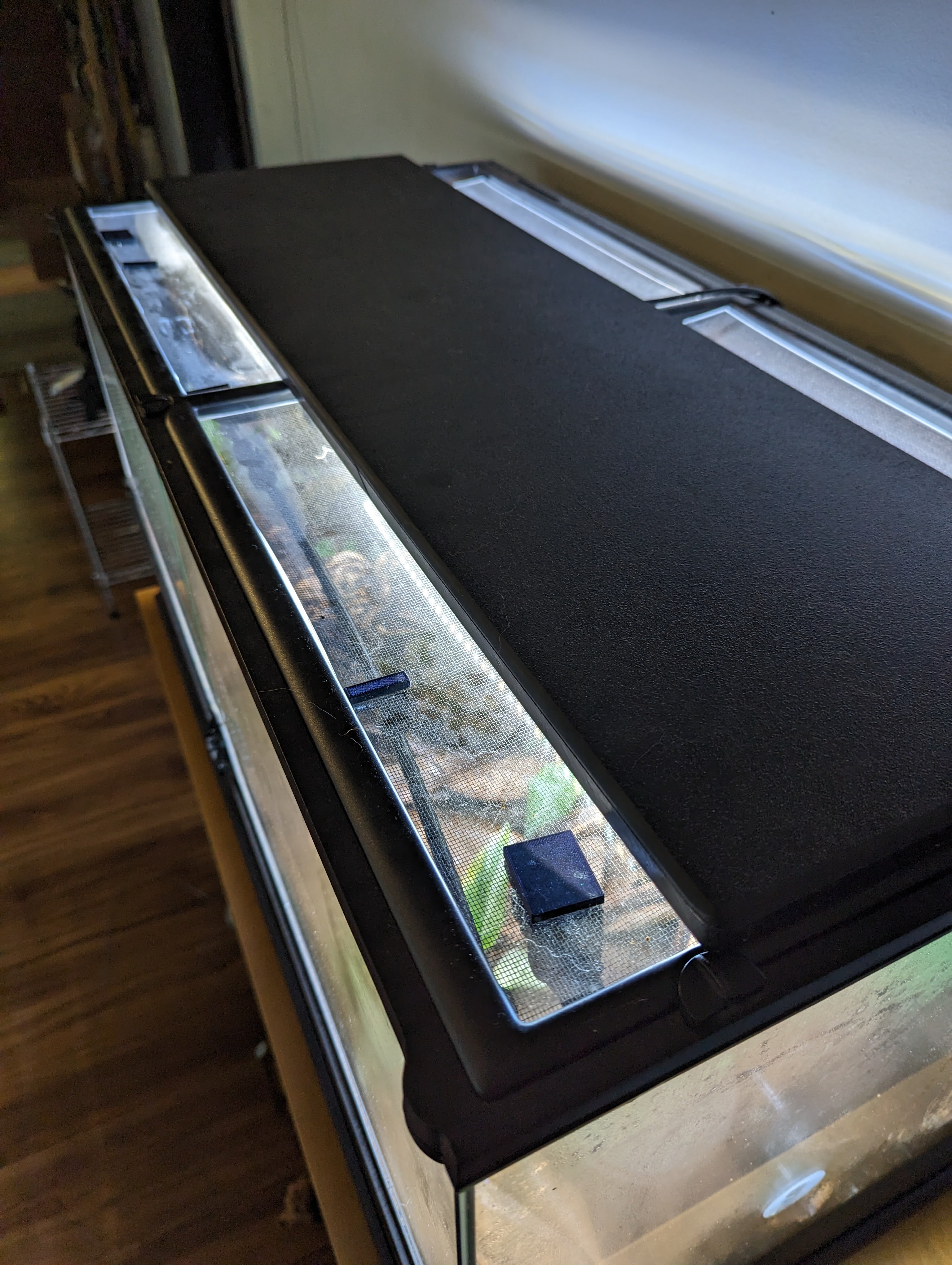 Mist King Holders by rgok Download free STL model