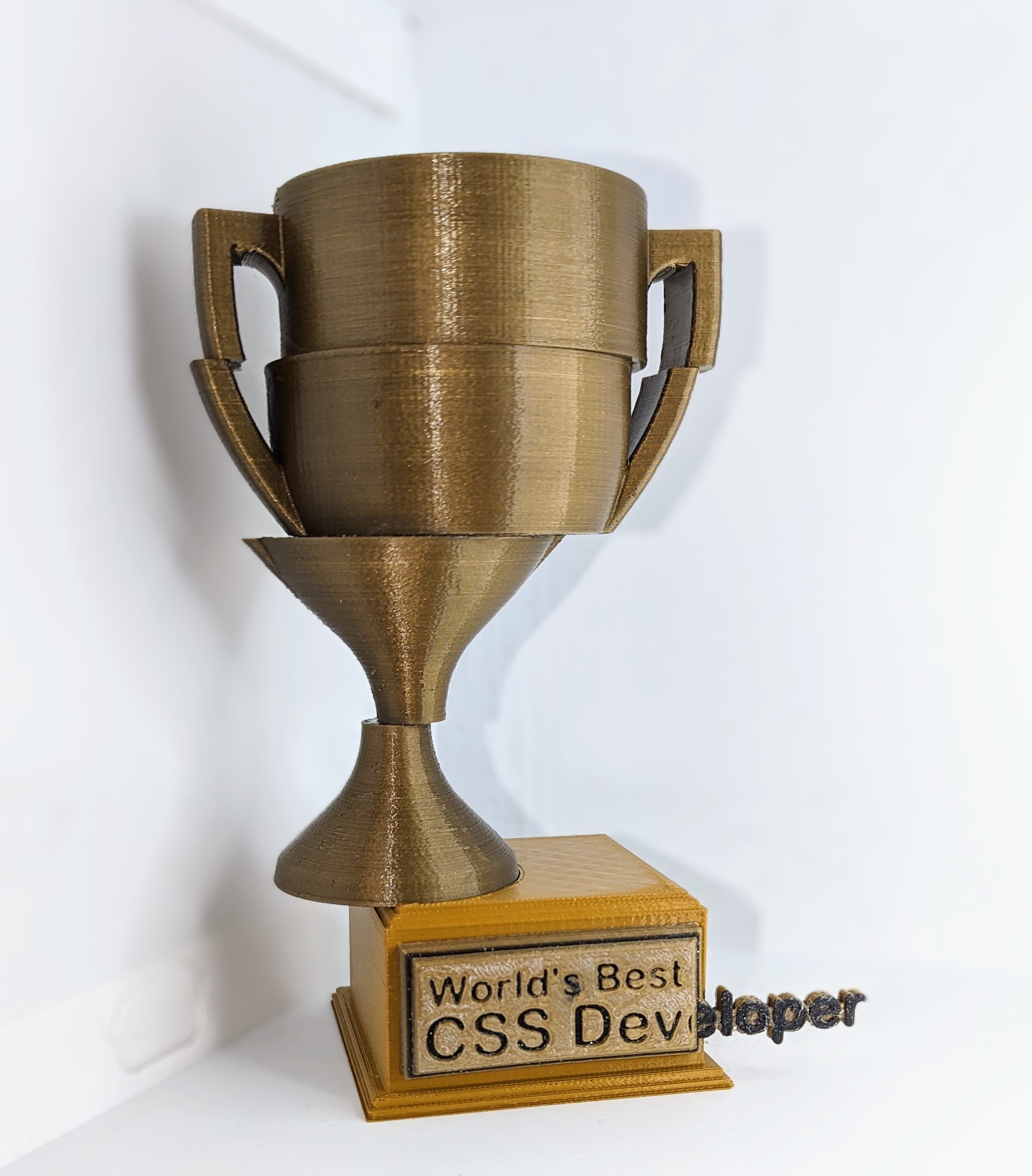 Easy Print "World's Best CSS Developer" Trophy 3D model thumbnail