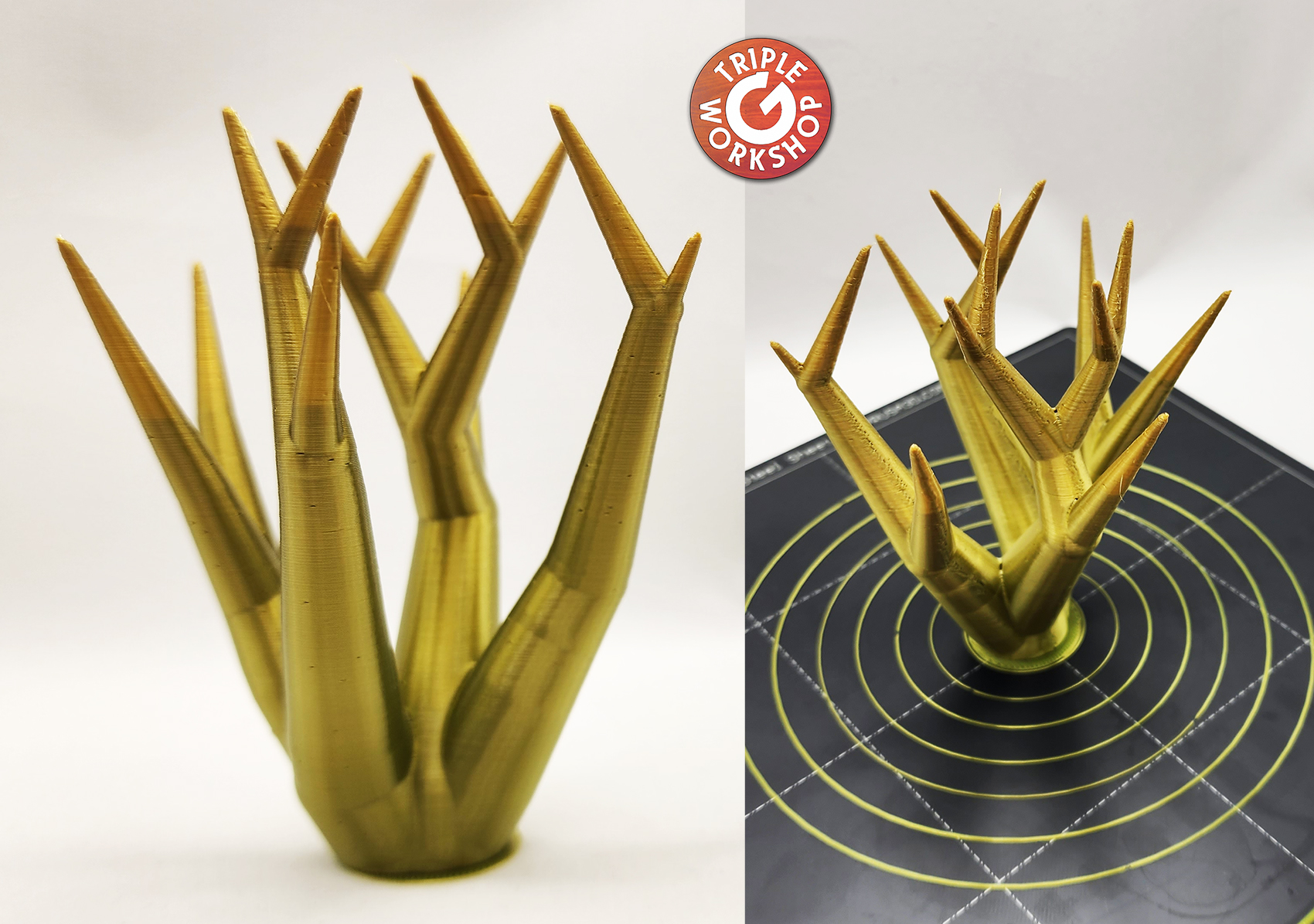 13 Point Organic Tree