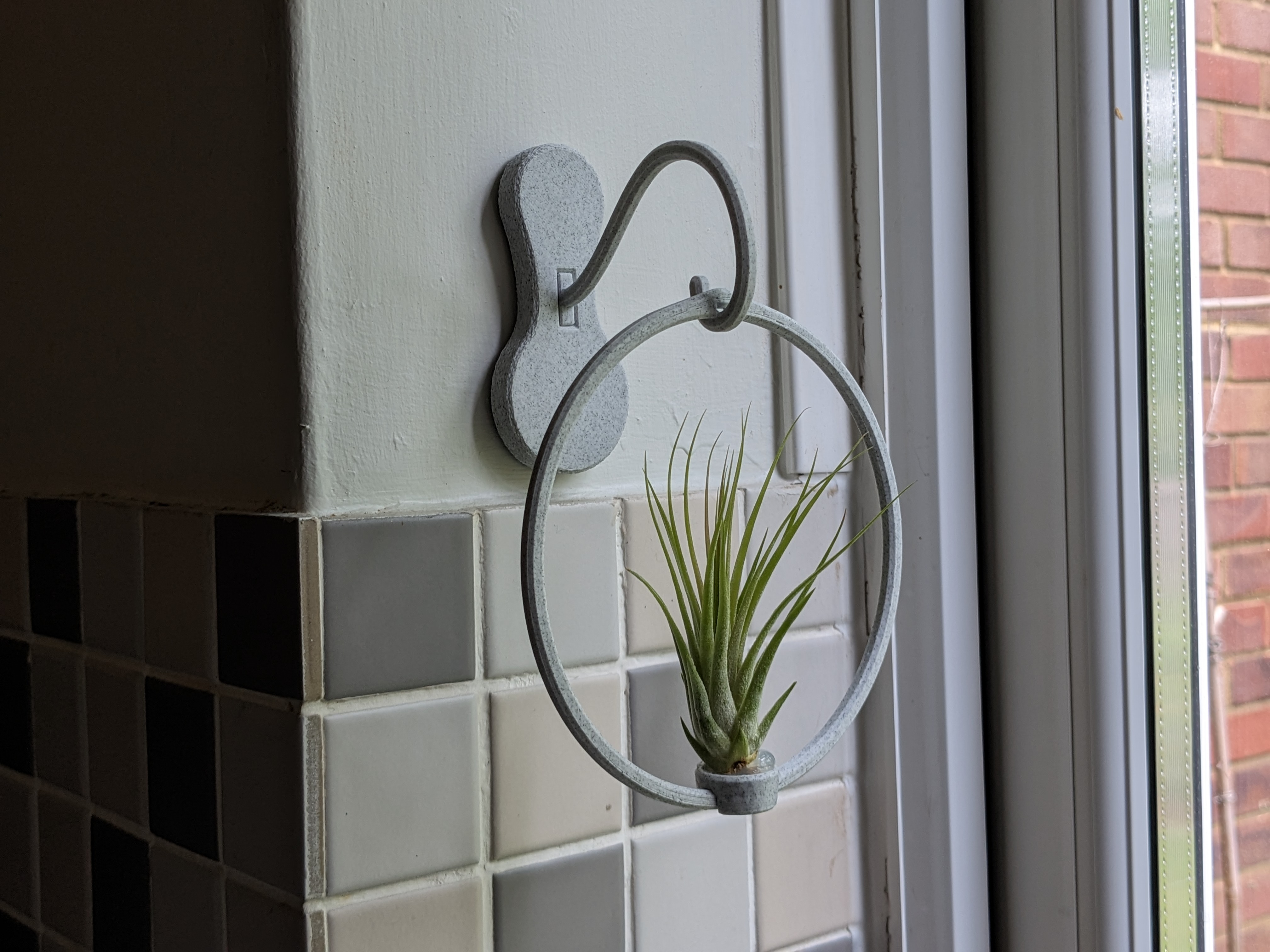 Air plant and succulent hanger