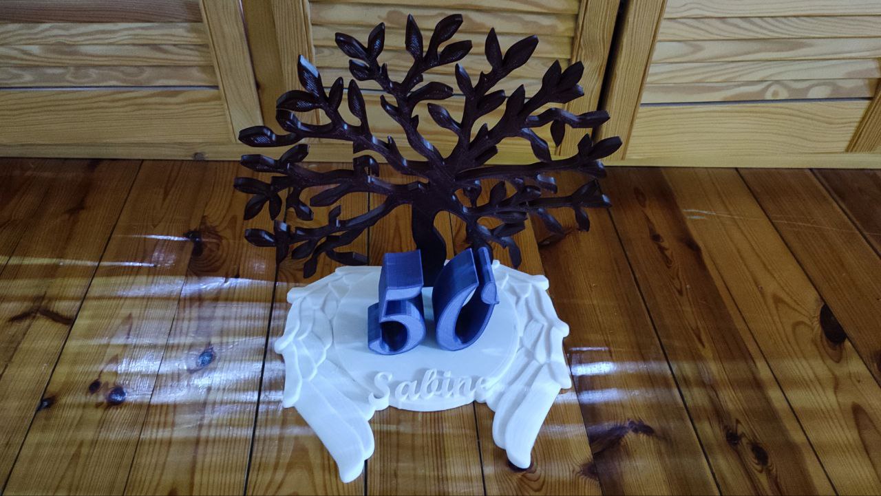Geburtstagsgeschenk 50er / Geldbaum / birthday gift 50s / money tree