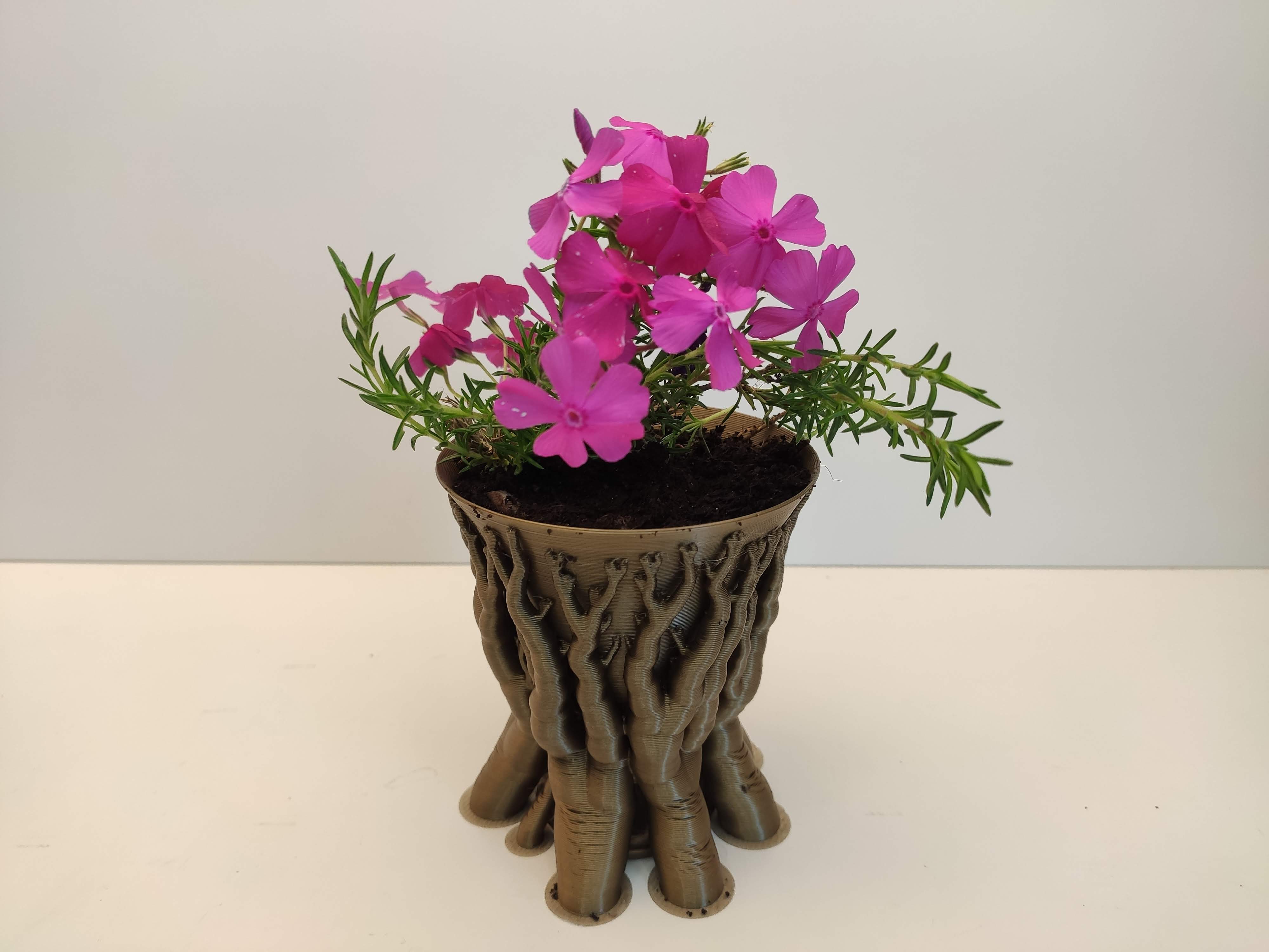 Organic plant pot