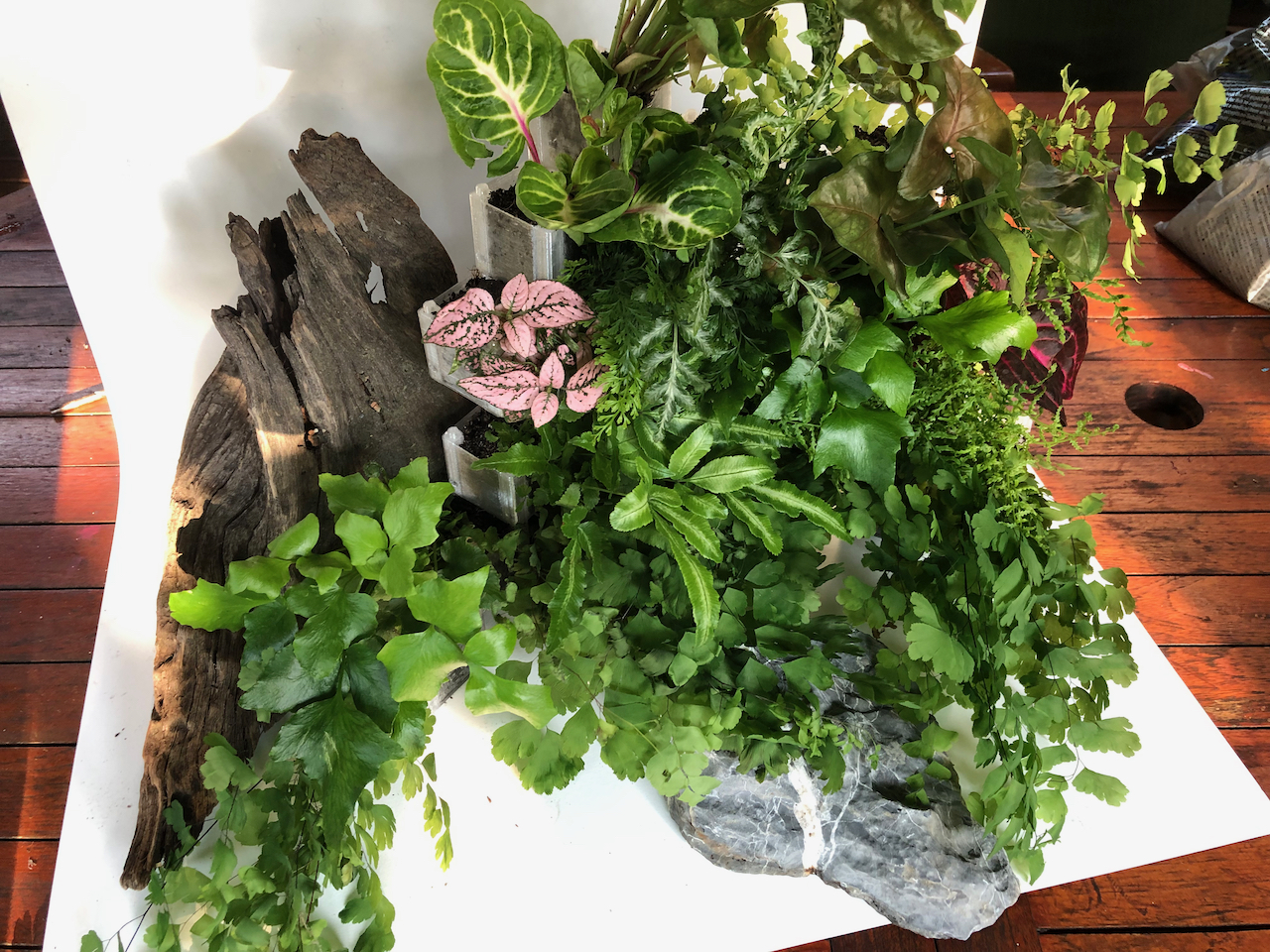 construire un terrarium exterieur pour tortue