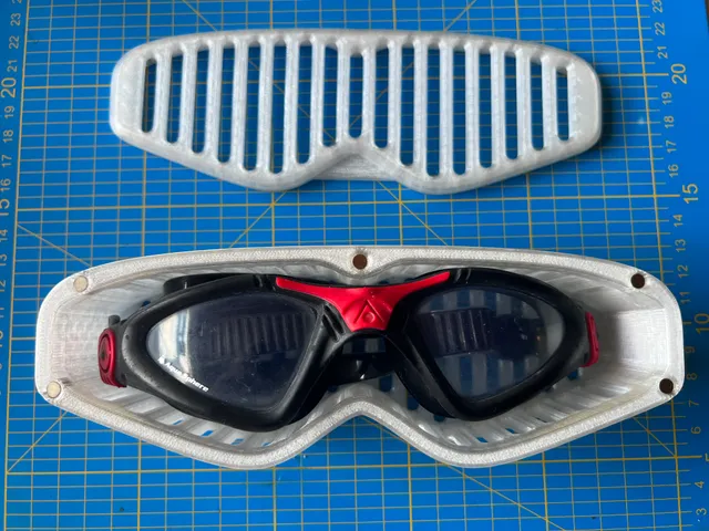 Case for Swimming Goggles