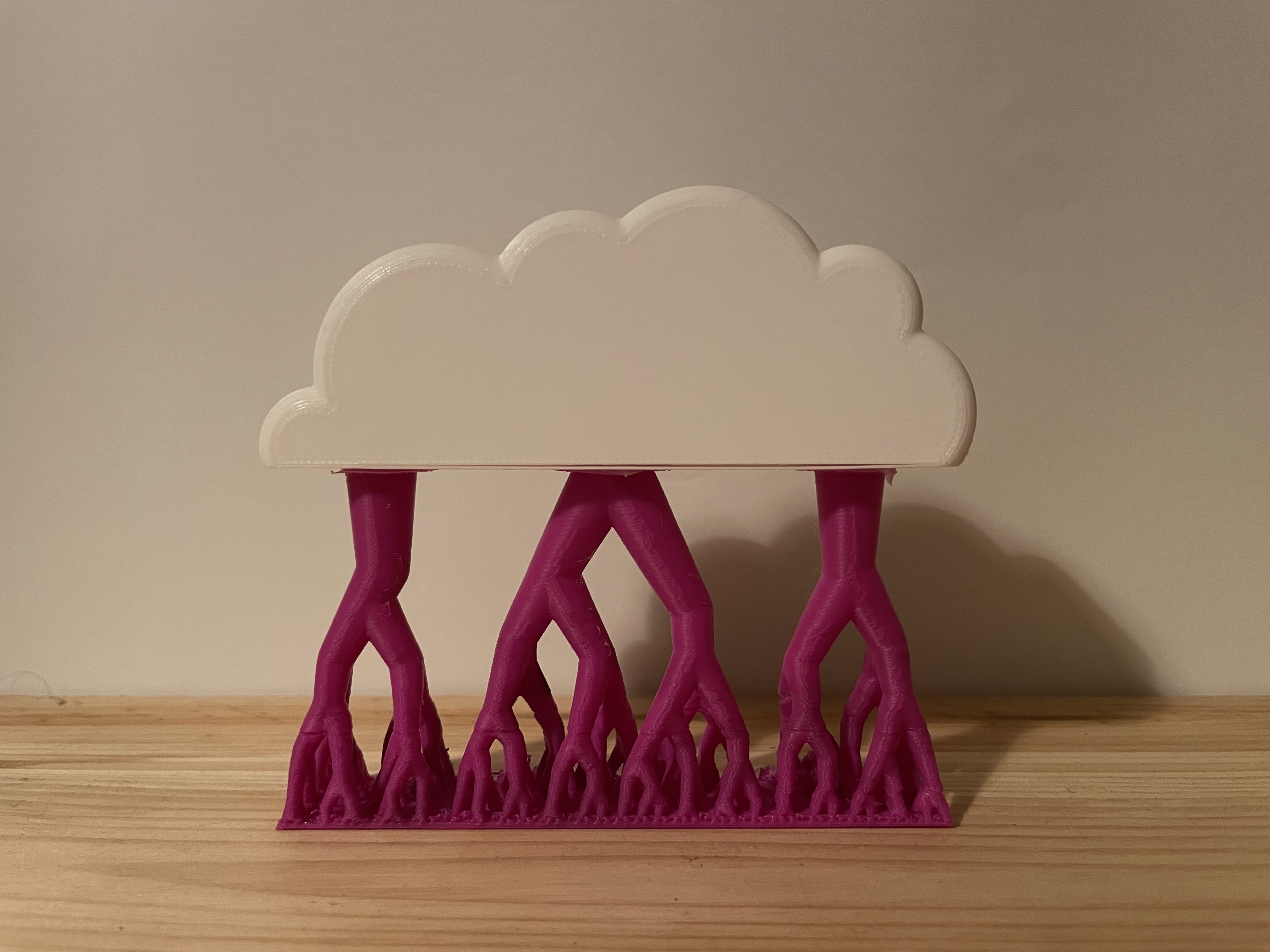 Storm Cloud - Organic Supports