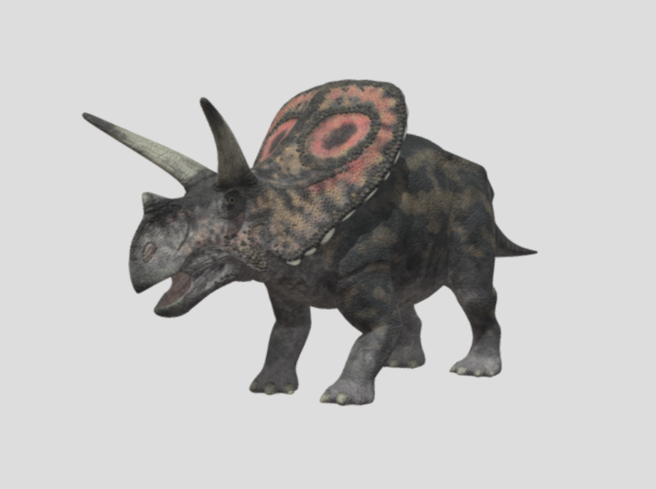 Torosaurus