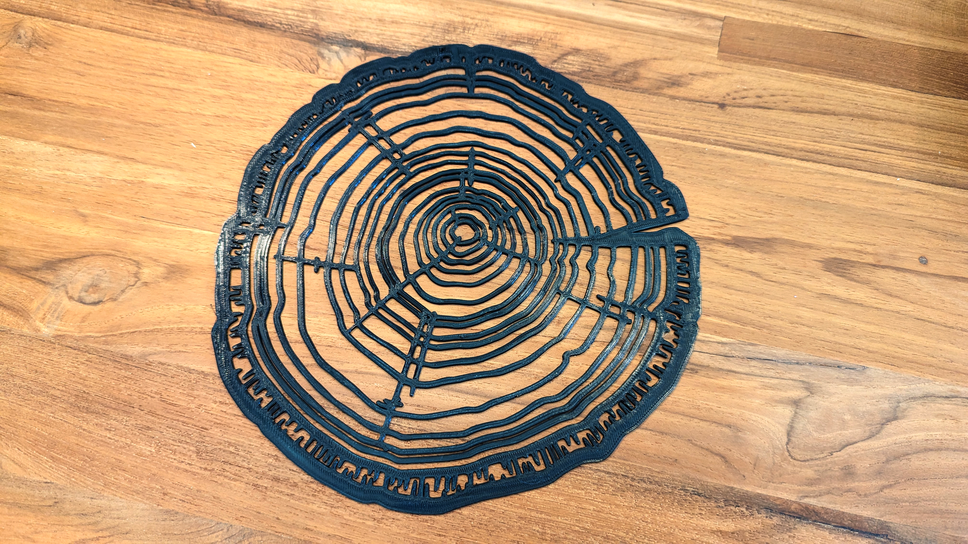Tree Ring wall art