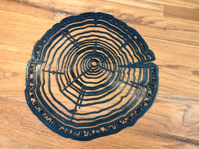 Tree Ring wall art