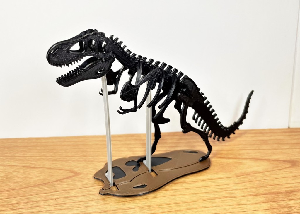 3Dino Puzzle Museum DX Set by STAG_B Download free STL model