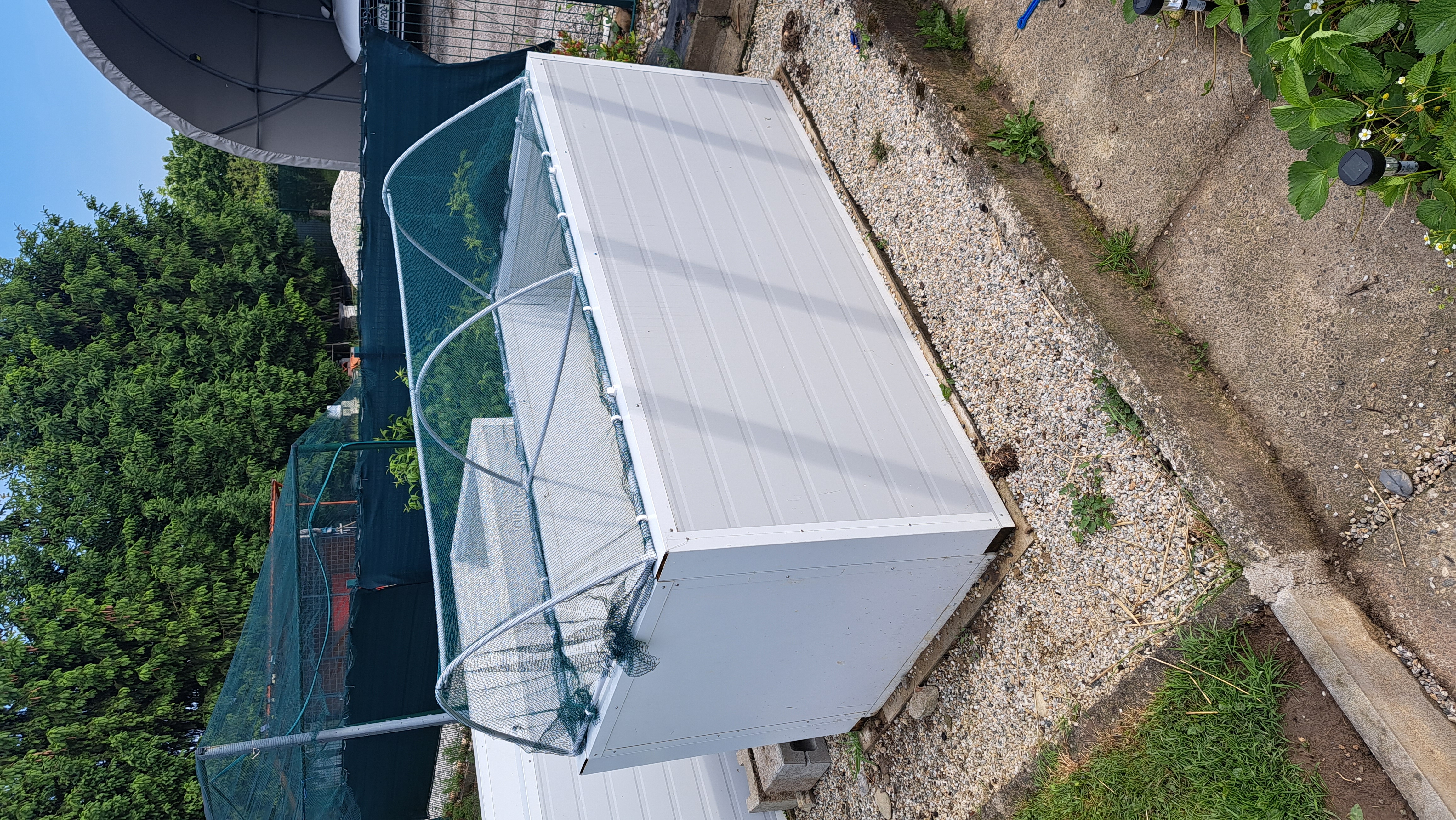 High flower bed rooftop