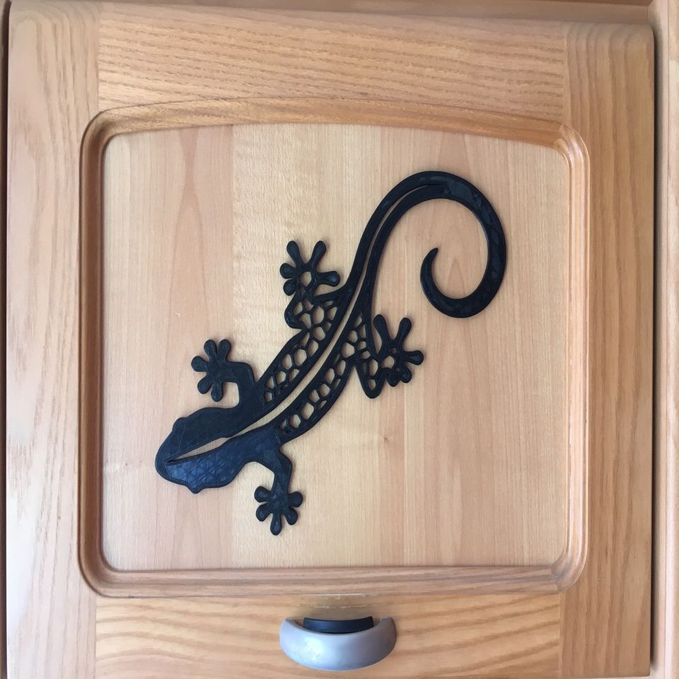2D Salamander (Sadece Plastik Aparattır!!!)