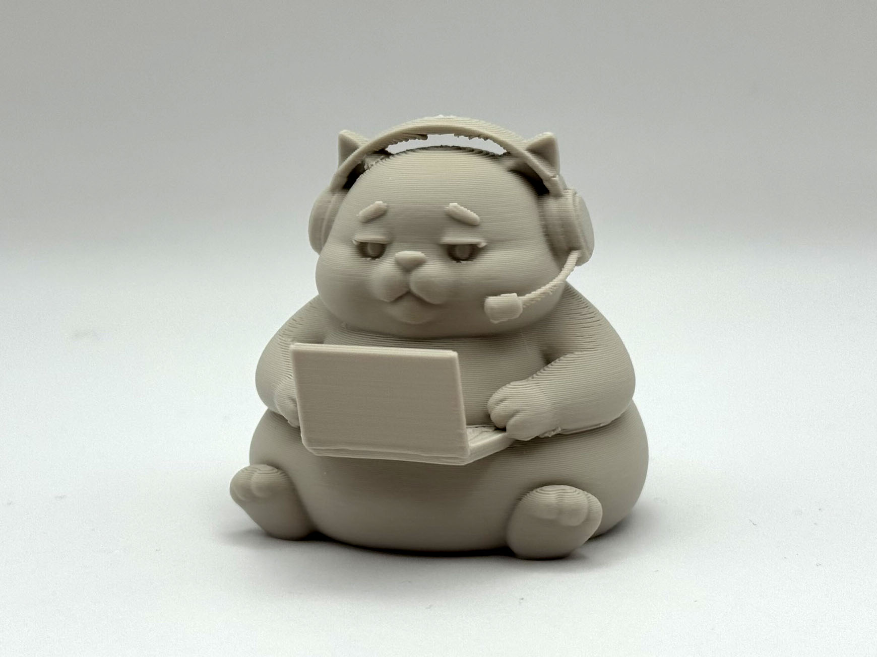 Chonky Gamer Kitten