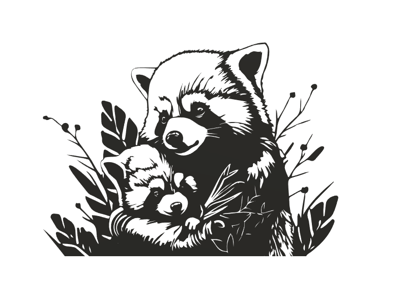 Red Panda