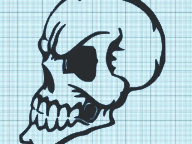 ANGRY SKULL   - WALL ART