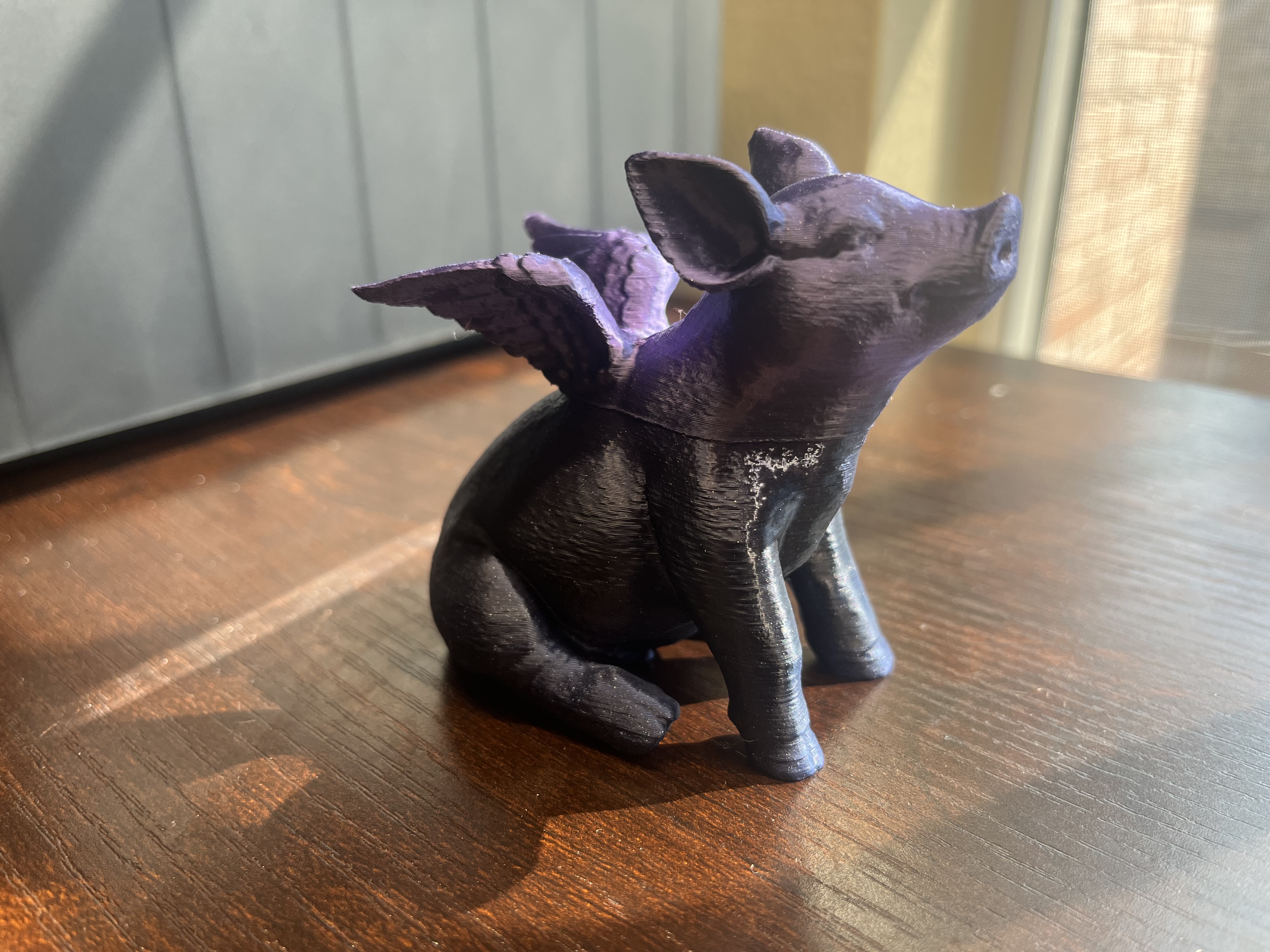 When Pigs Fly