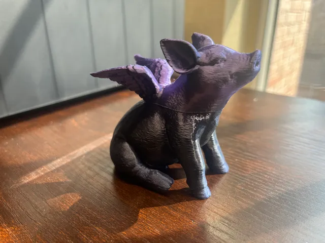 When Pigs Fly