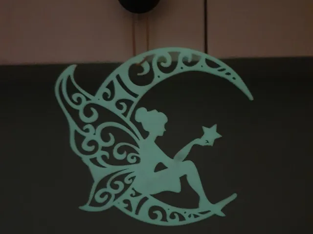 Fairy on the moon with star