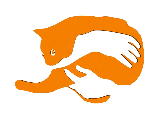 Dekorace Kočka, decoration cat, חתול קישוט, dekoracio kato, paka ya mapambo