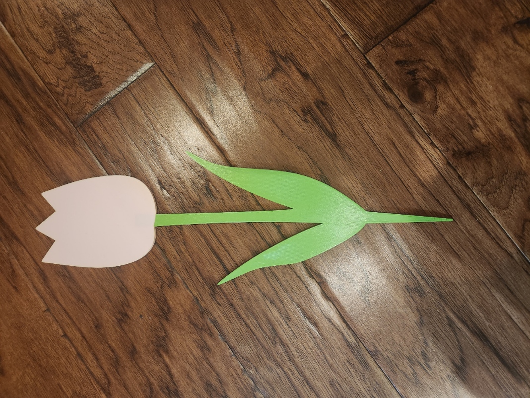 Wallet Size Photo Tulip