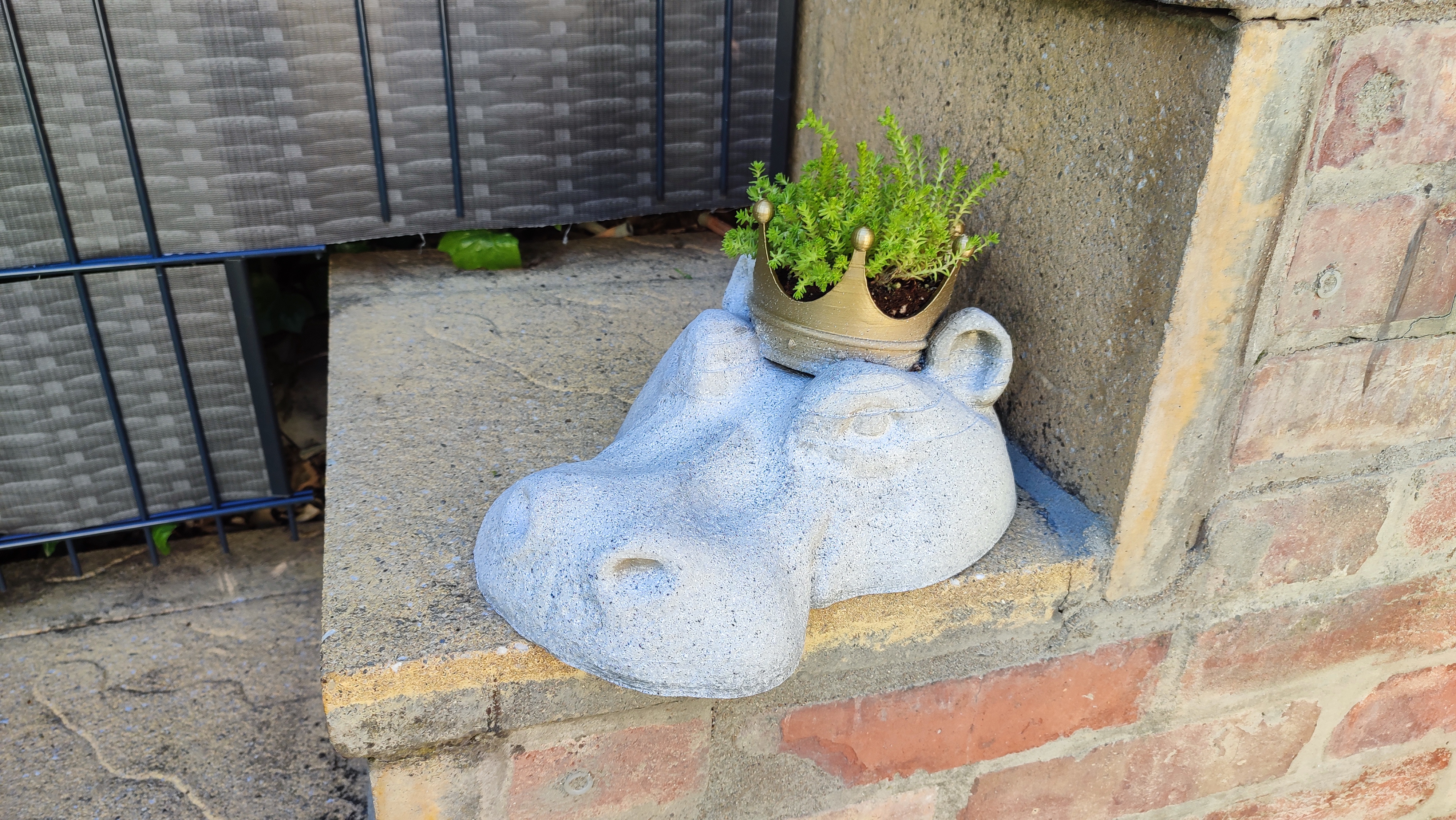 Nilpferd mit Krone / Hippopotamus with a crown