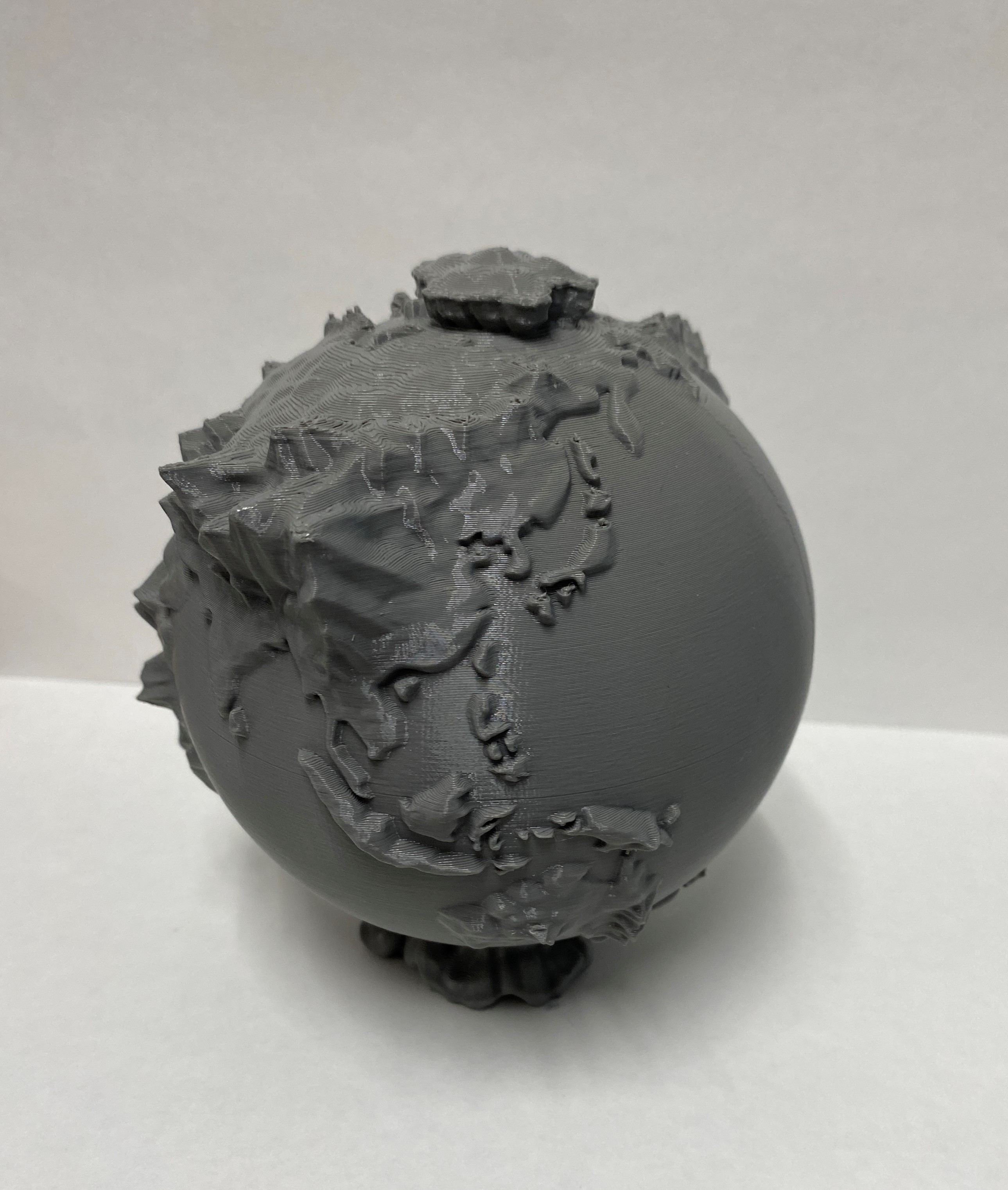 The Whole World - Topographic