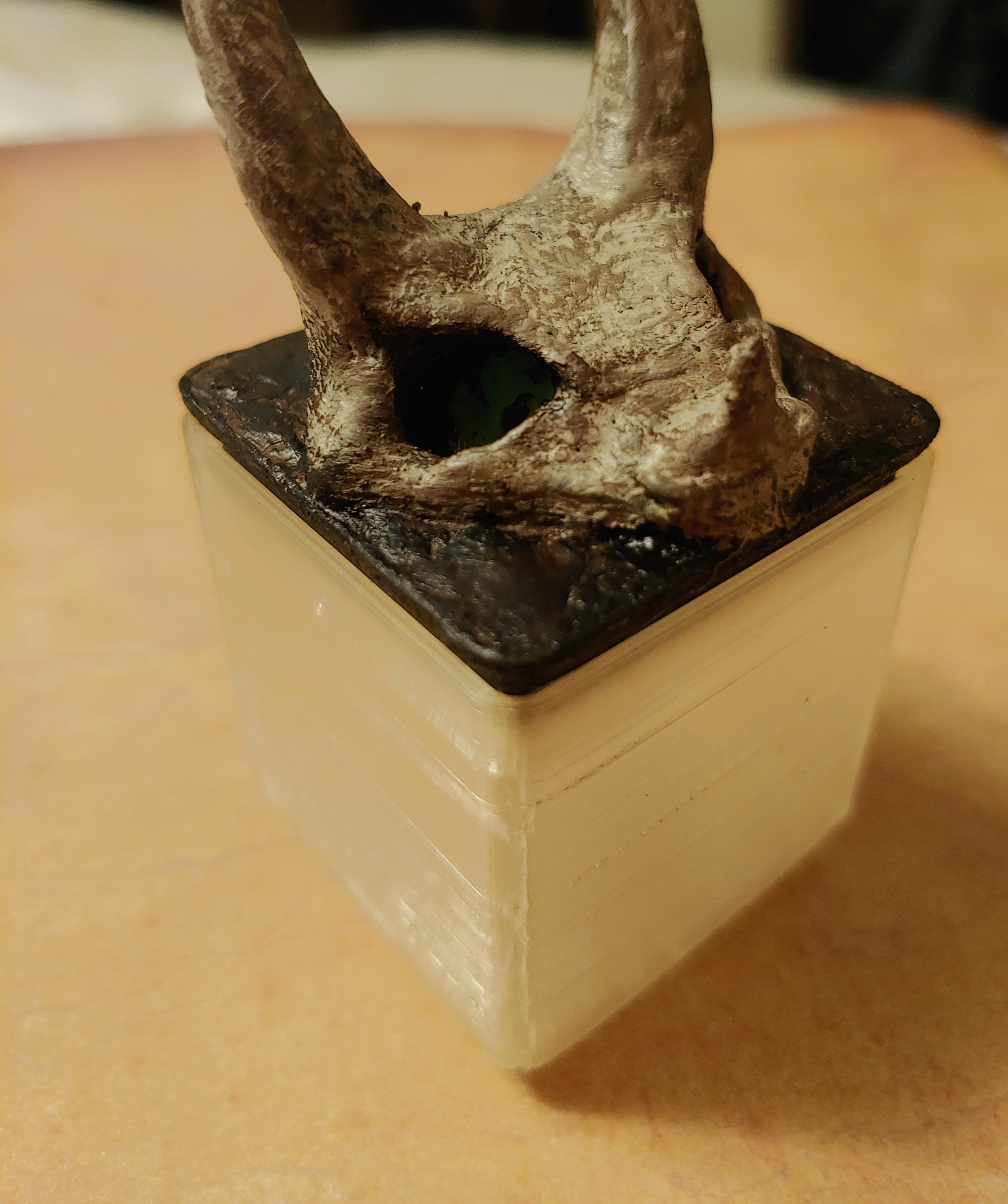 Gridfinity Dragon Skull Decoration (no magnet holes)