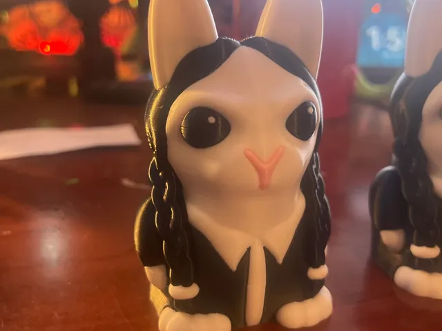 Bunny Wednesday
