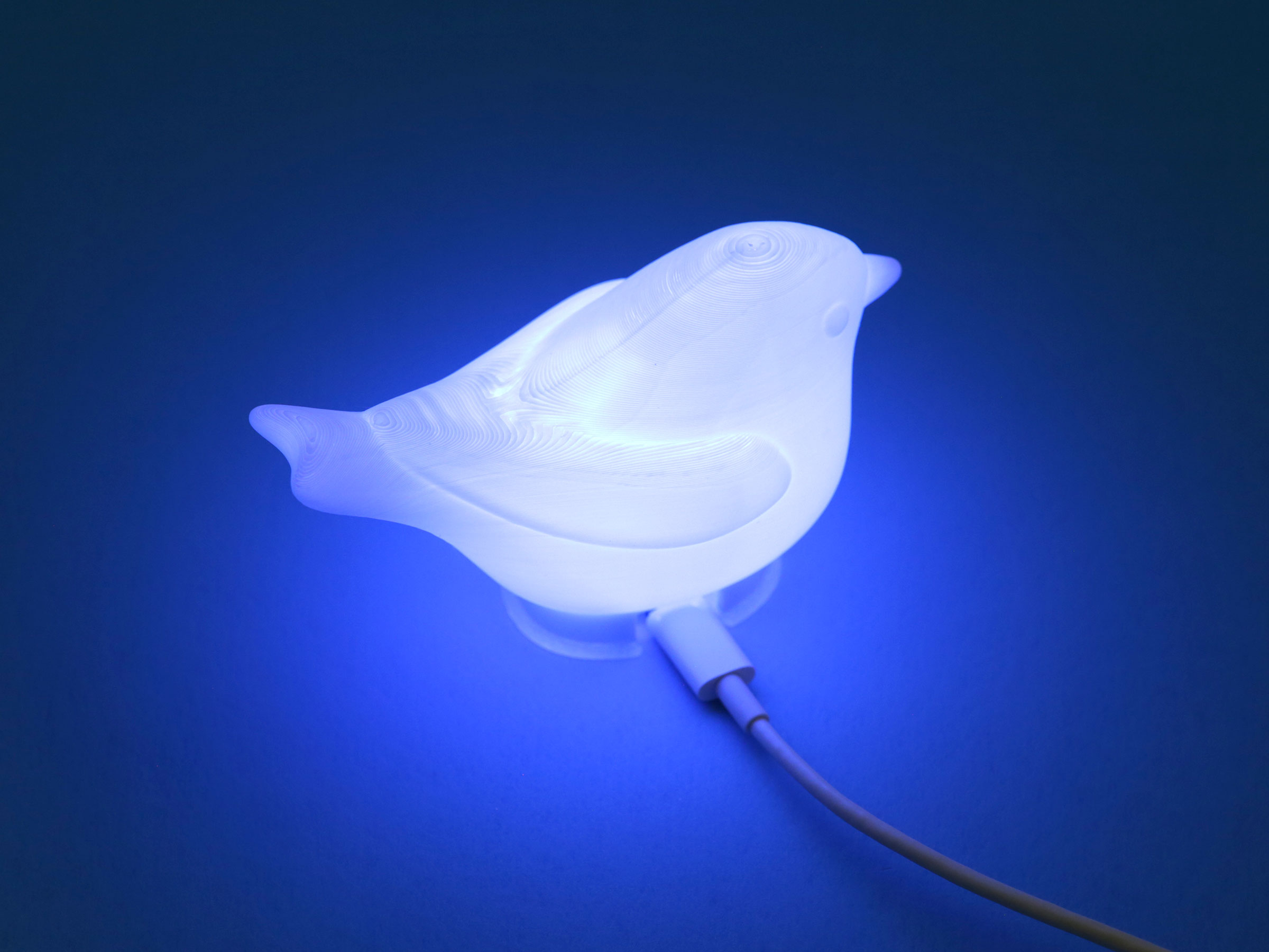 IoT Canary Night Light by Adafruit | Download free STL model ...