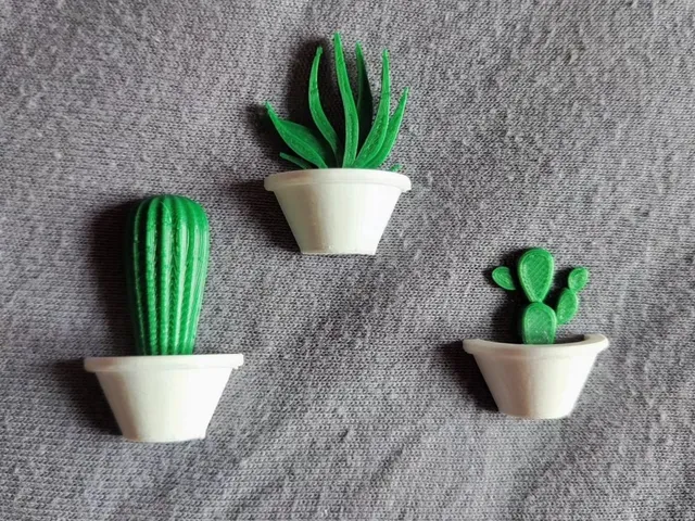 Cactus magnets