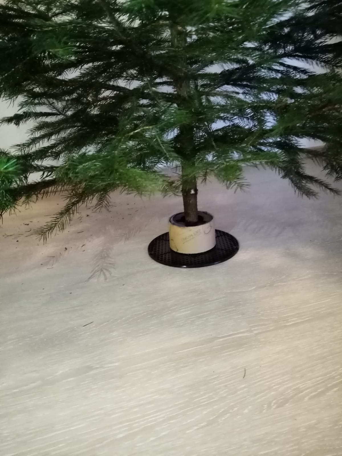 Miniatura 2 do modelo 3D Christmas tree stand
