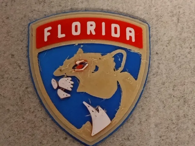 FLORIDA Panthers - LOGO