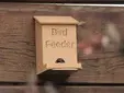 Bird feeder
