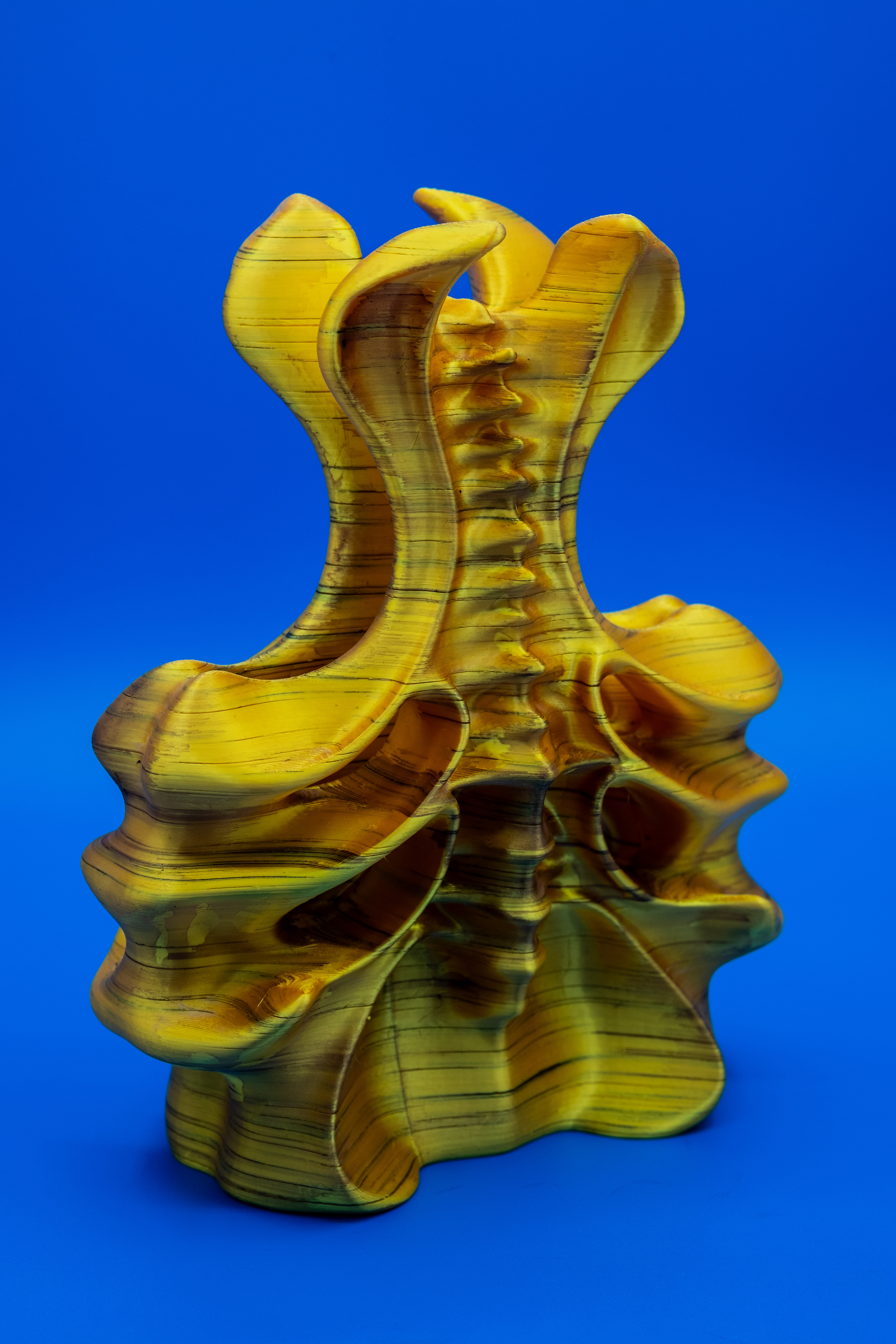 Vessel (Pre Supported) — thumbnail 6