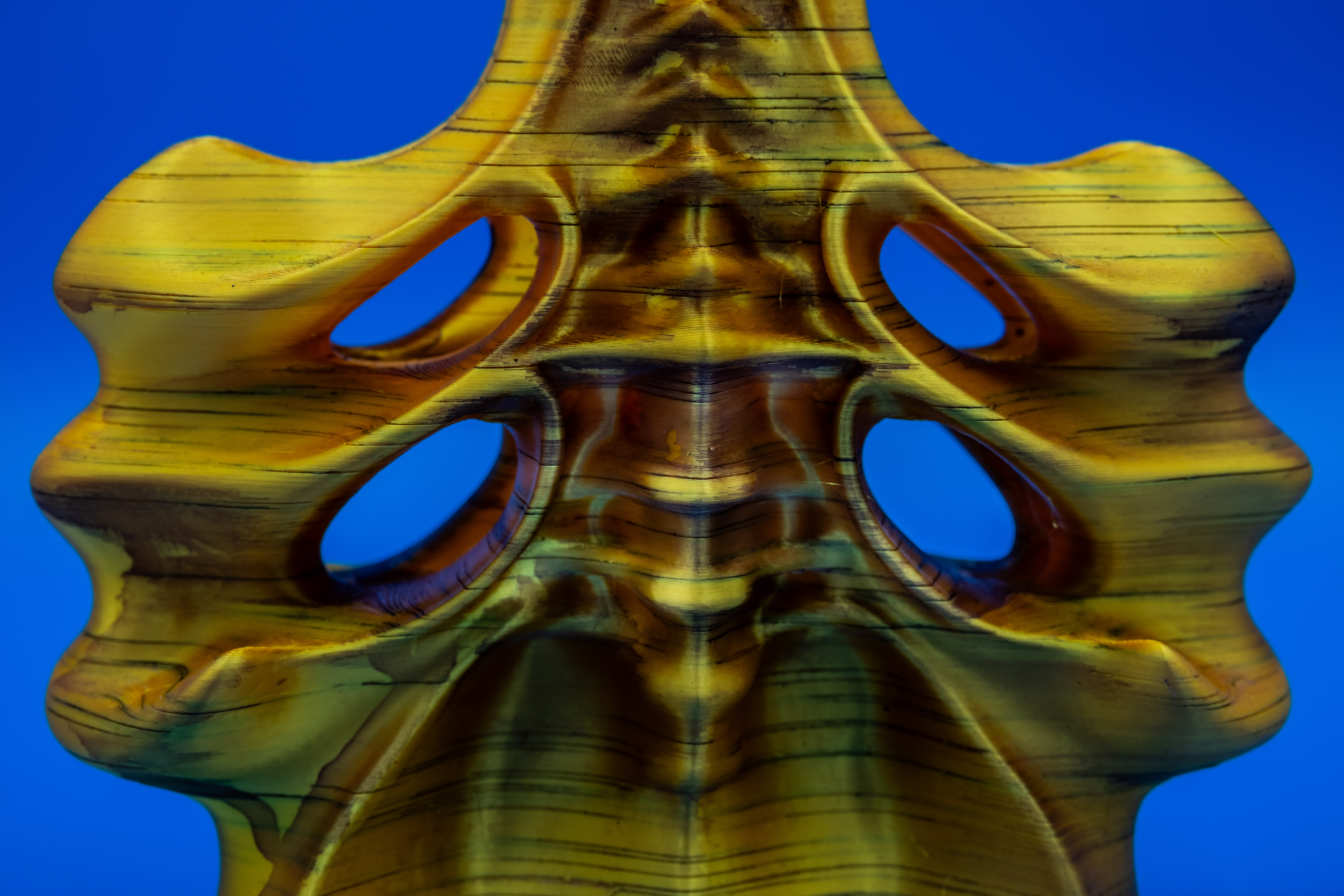 Vessel (Pre Supported) — thumbnail 8