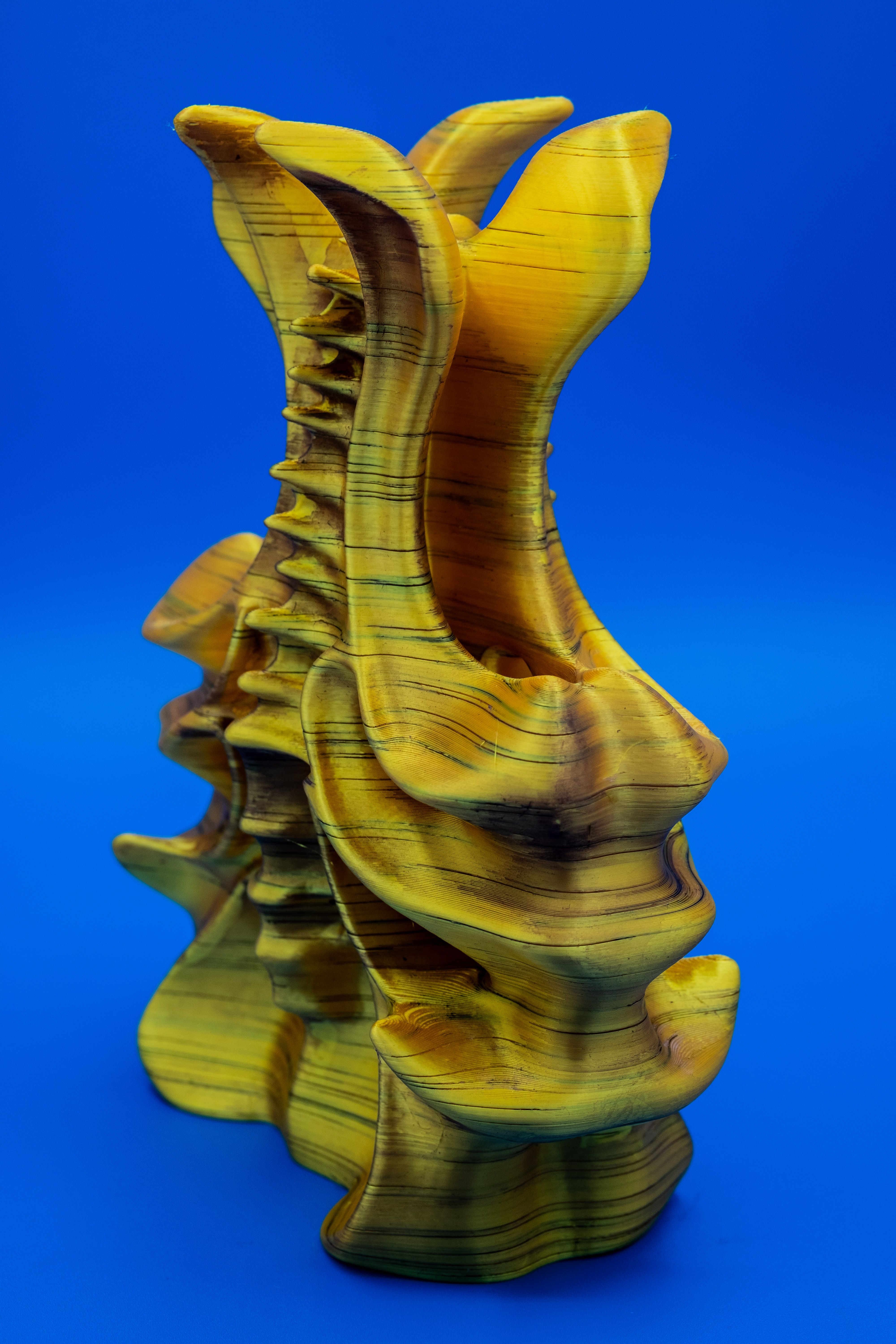 Vessel (Pre Supported) — thumbnail 11