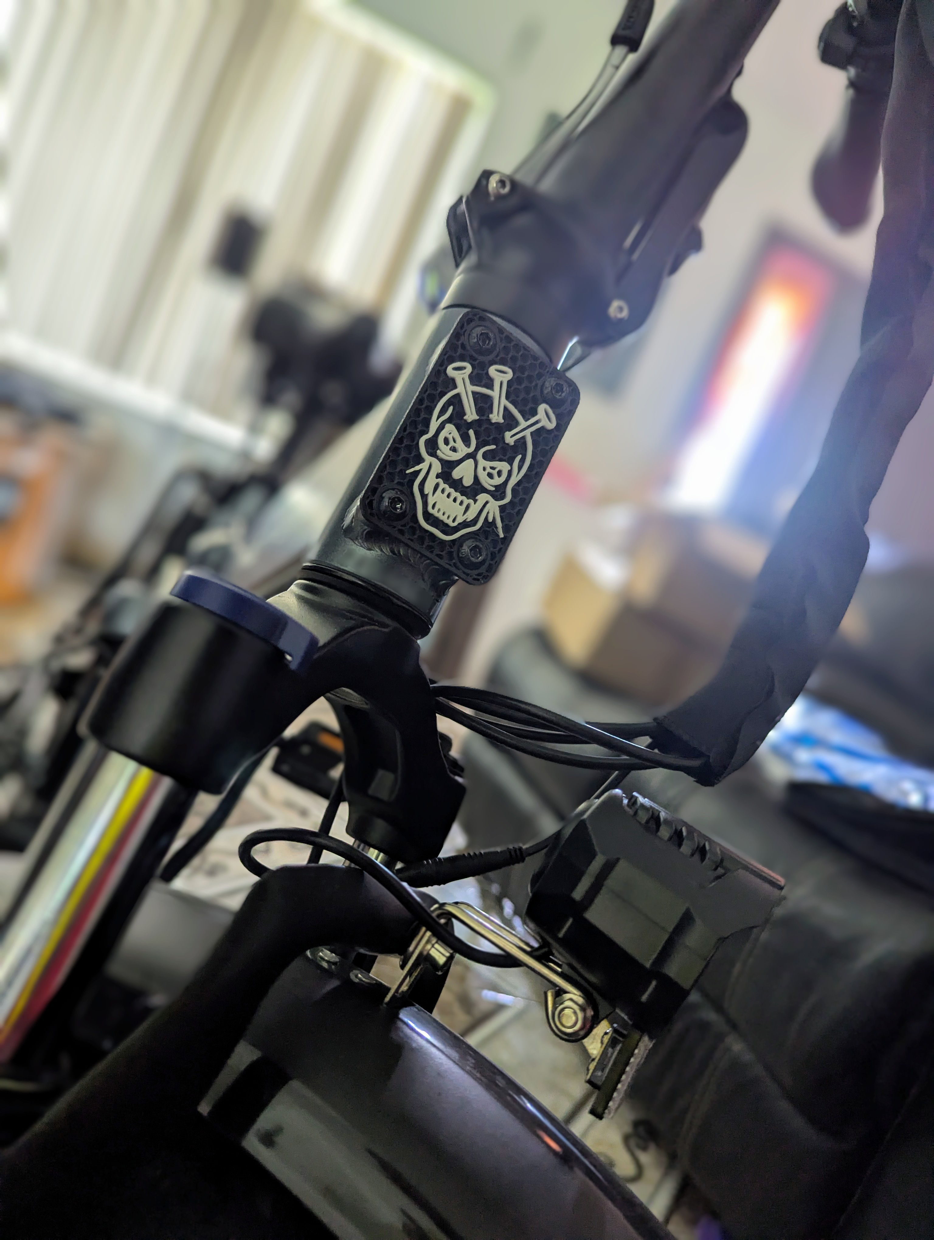 Ebike Vanity Plate — thumbnail 3