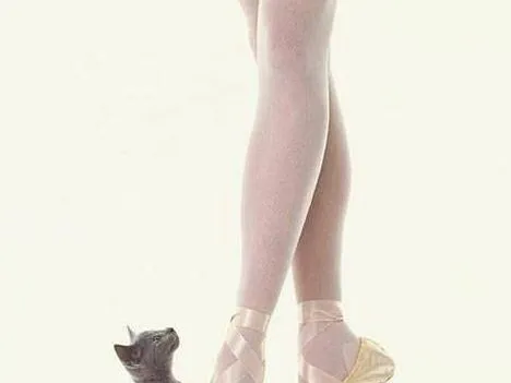 ballet dancer and kitten - hueforge