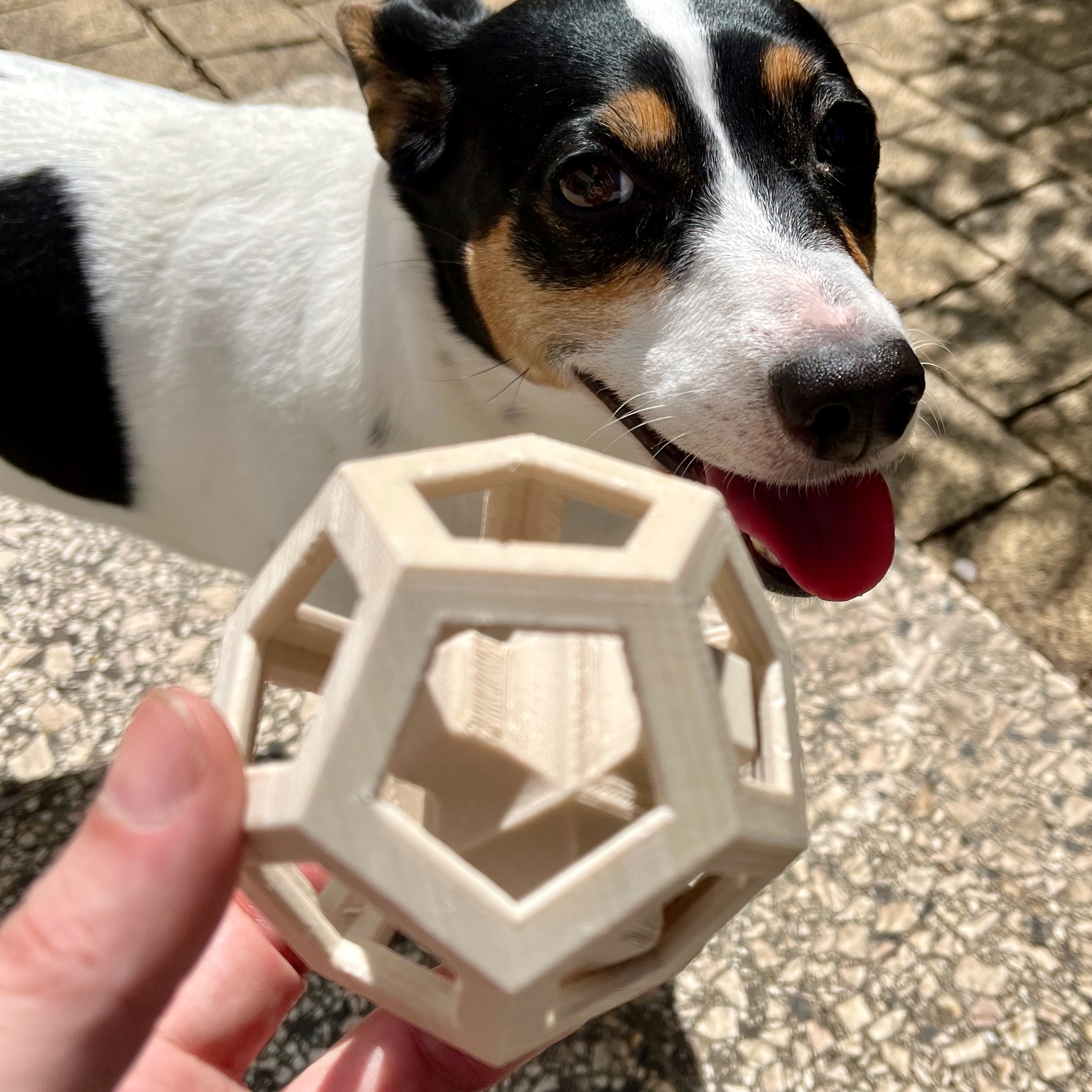 Dog Toy TNG Alpha By OderWat Download Free STL Model Printables