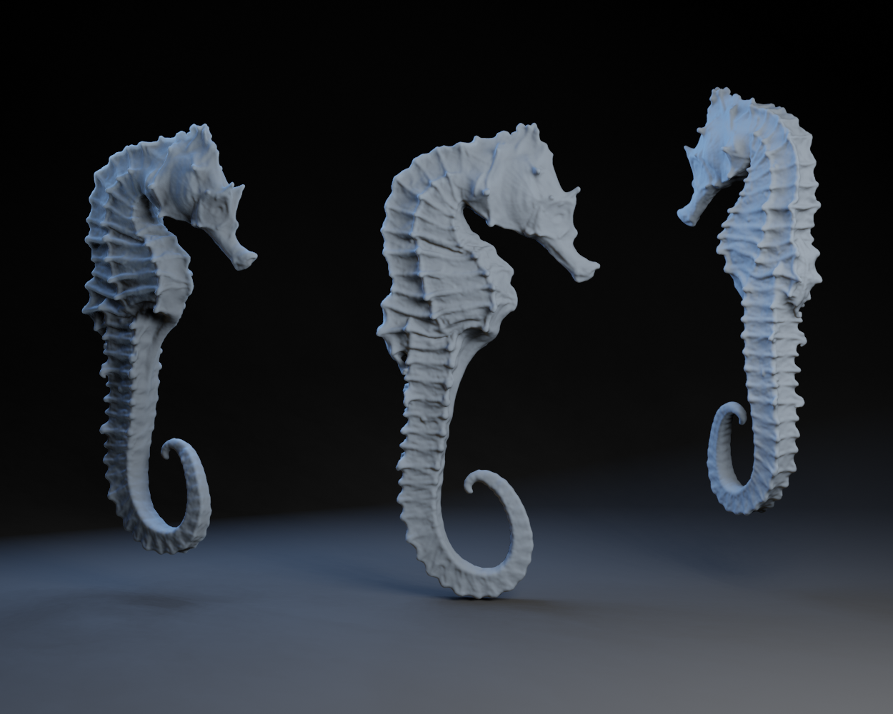 Sea Horse