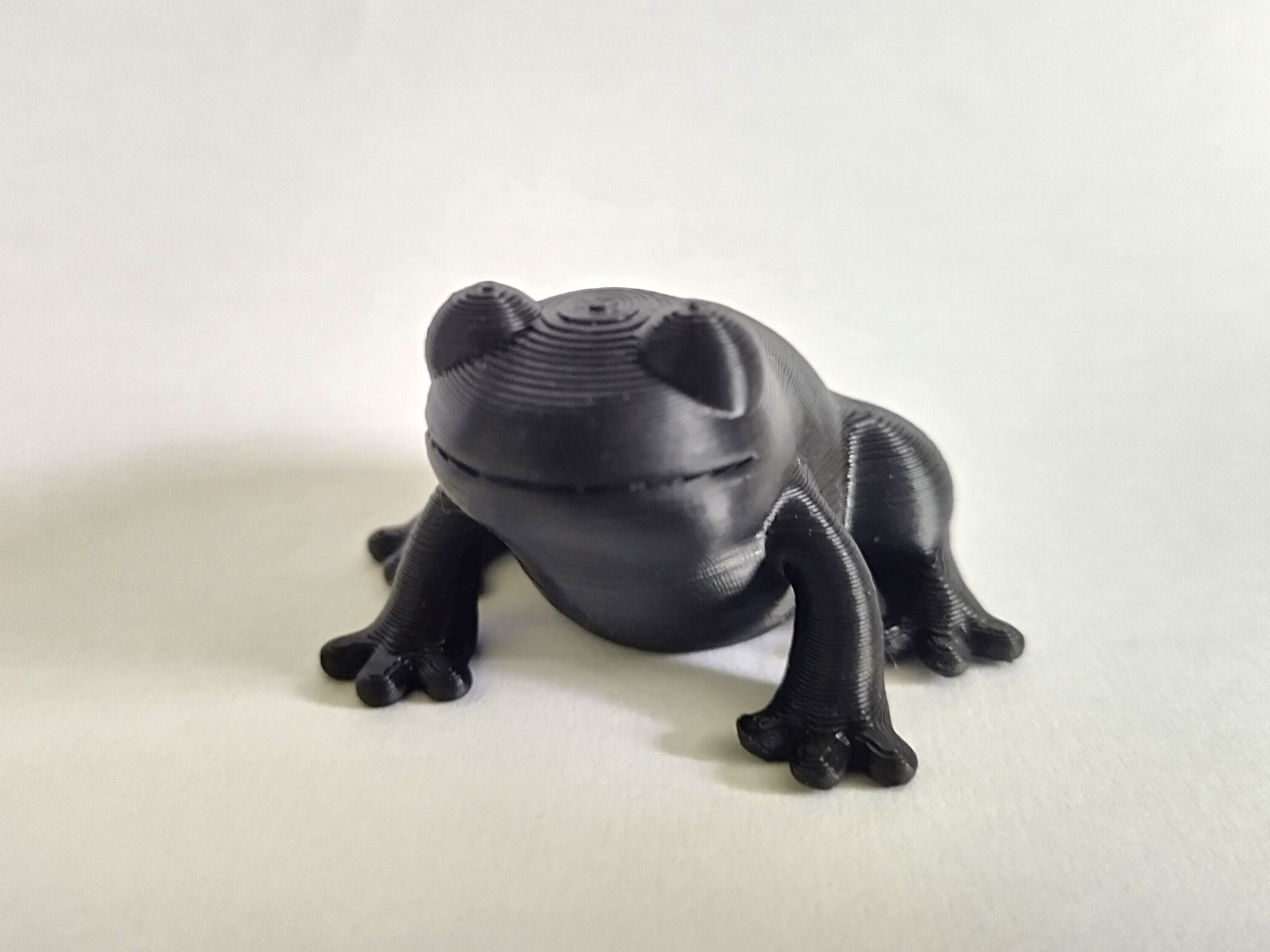 Chubby Frog