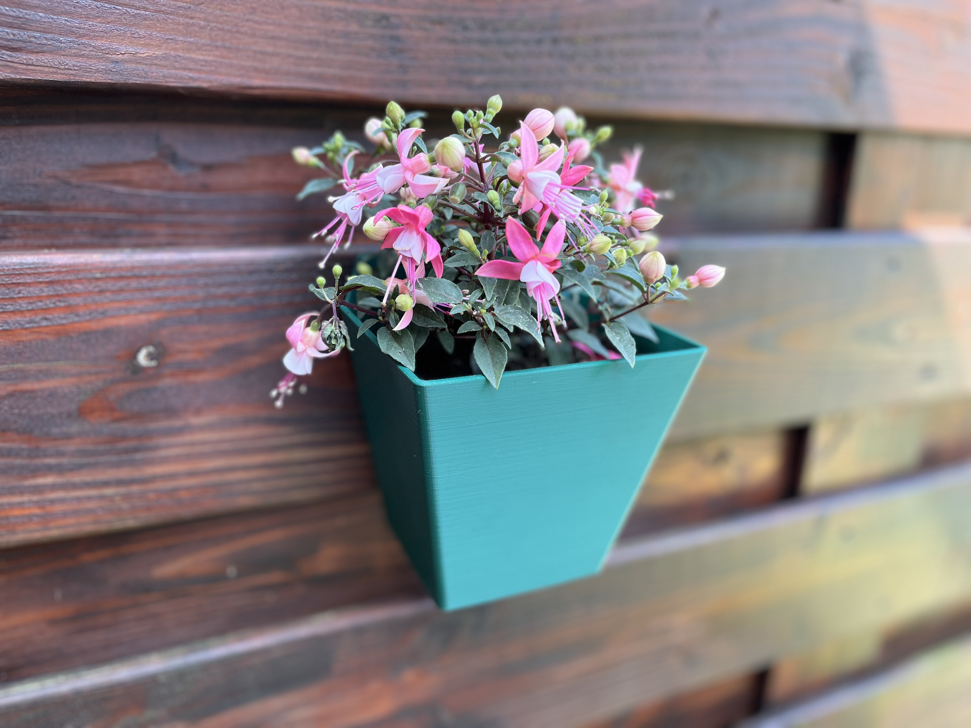 Wall planter (selfwatering)