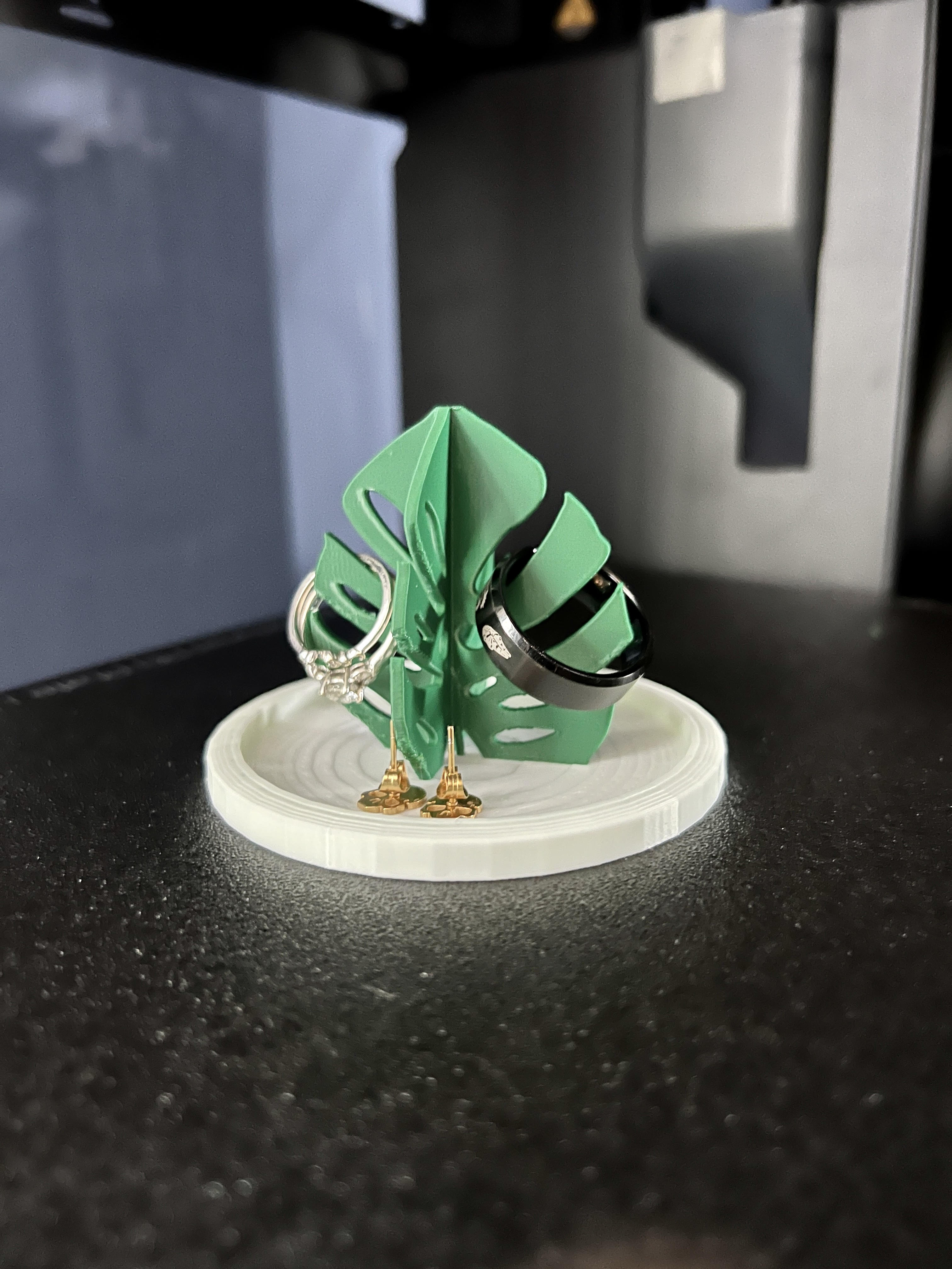 Monstera Ring Holder by Jayy5299 Download free STL model