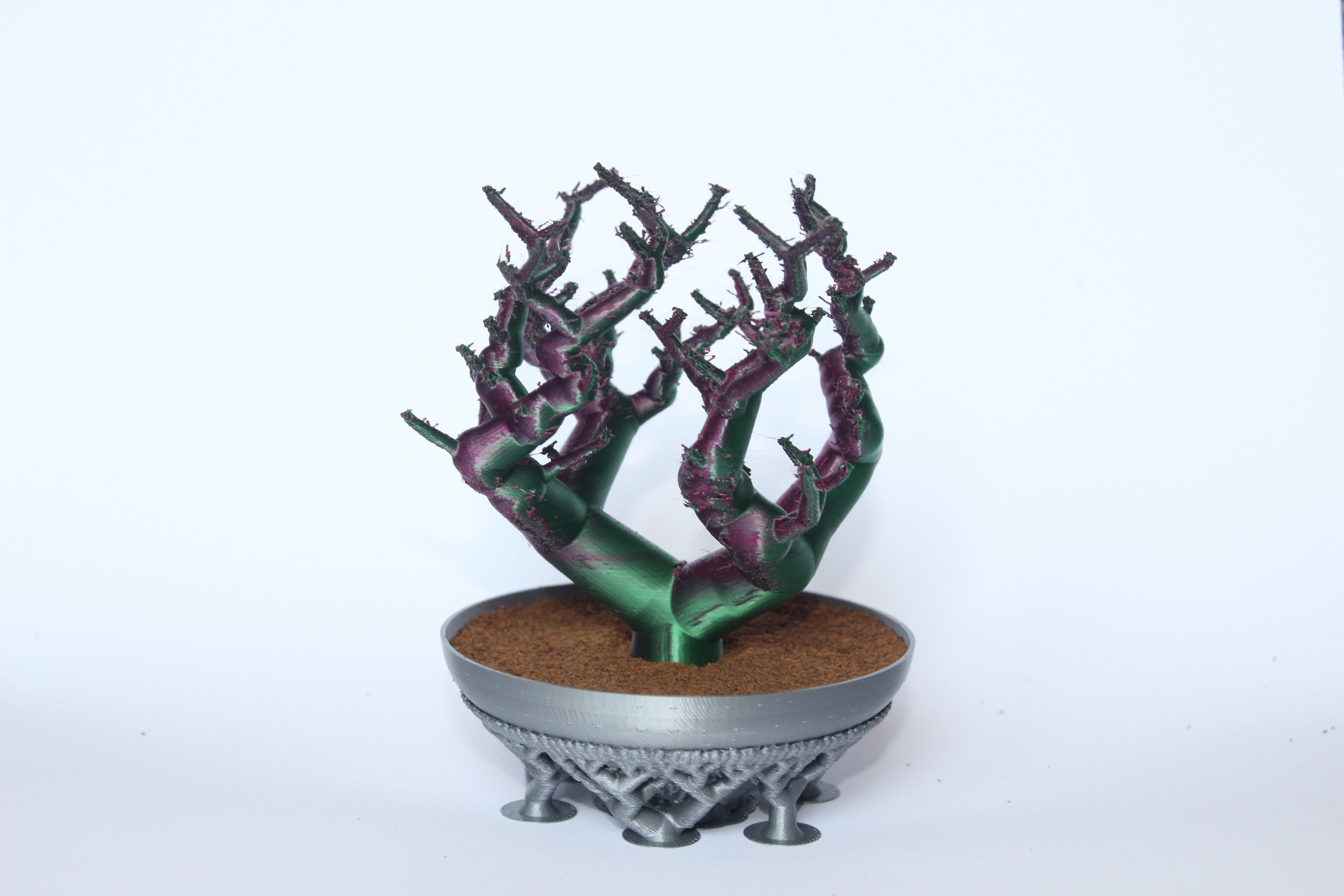 Bonsai tree with planter