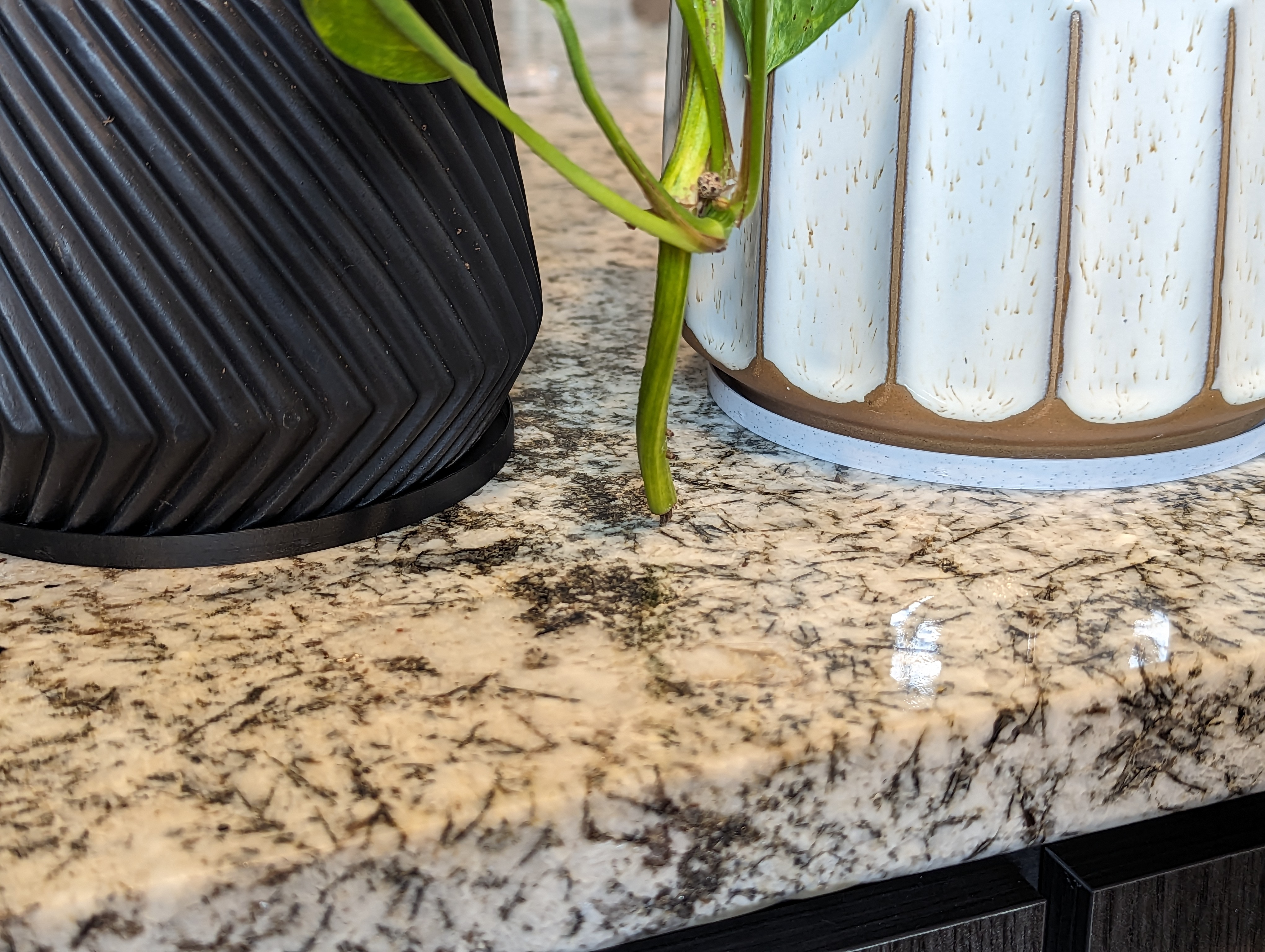 Minimalist Planter Tray